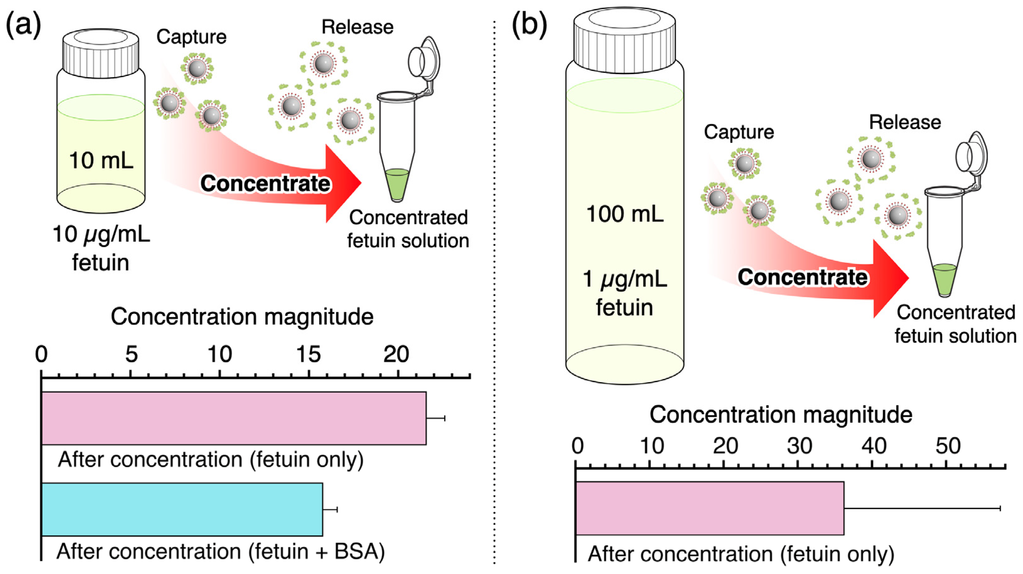 Sensors 24 01080 g006 Sensors 24 01080 g006