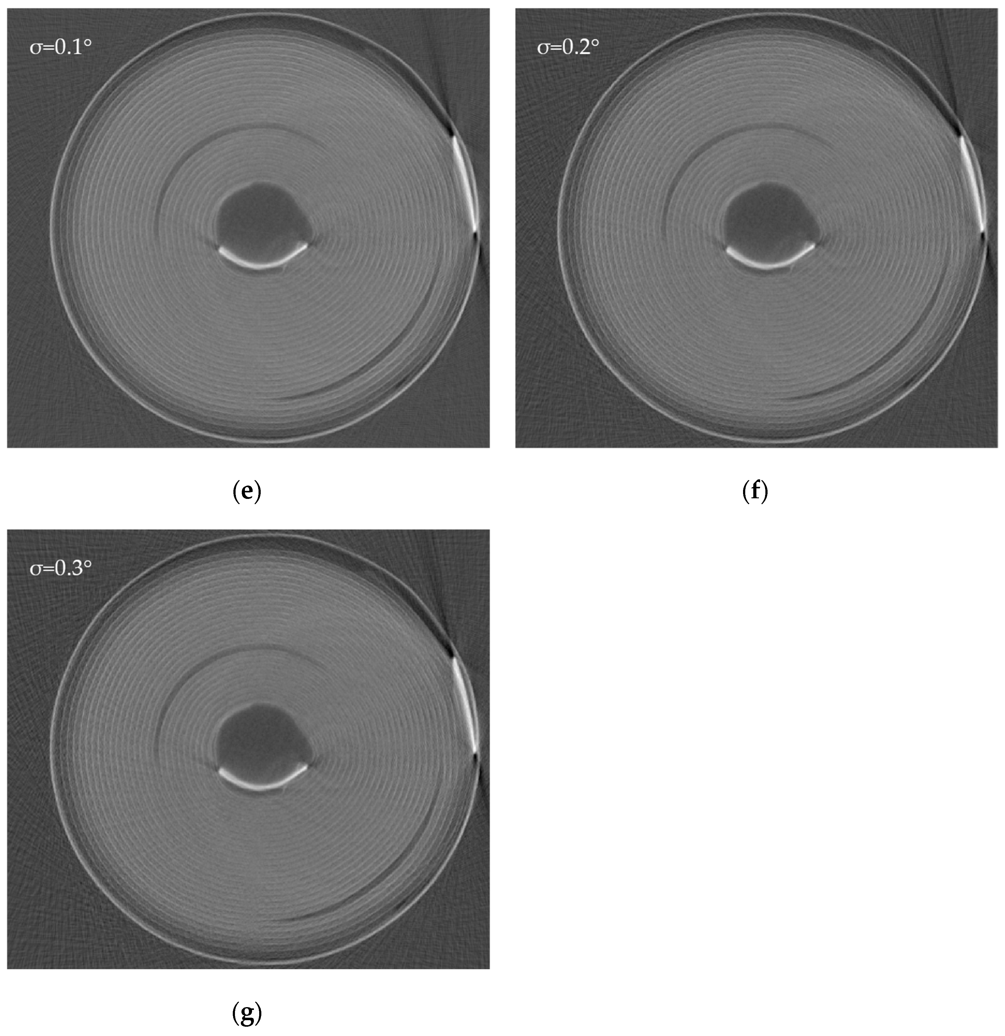 Sensors 24 01102 g008b