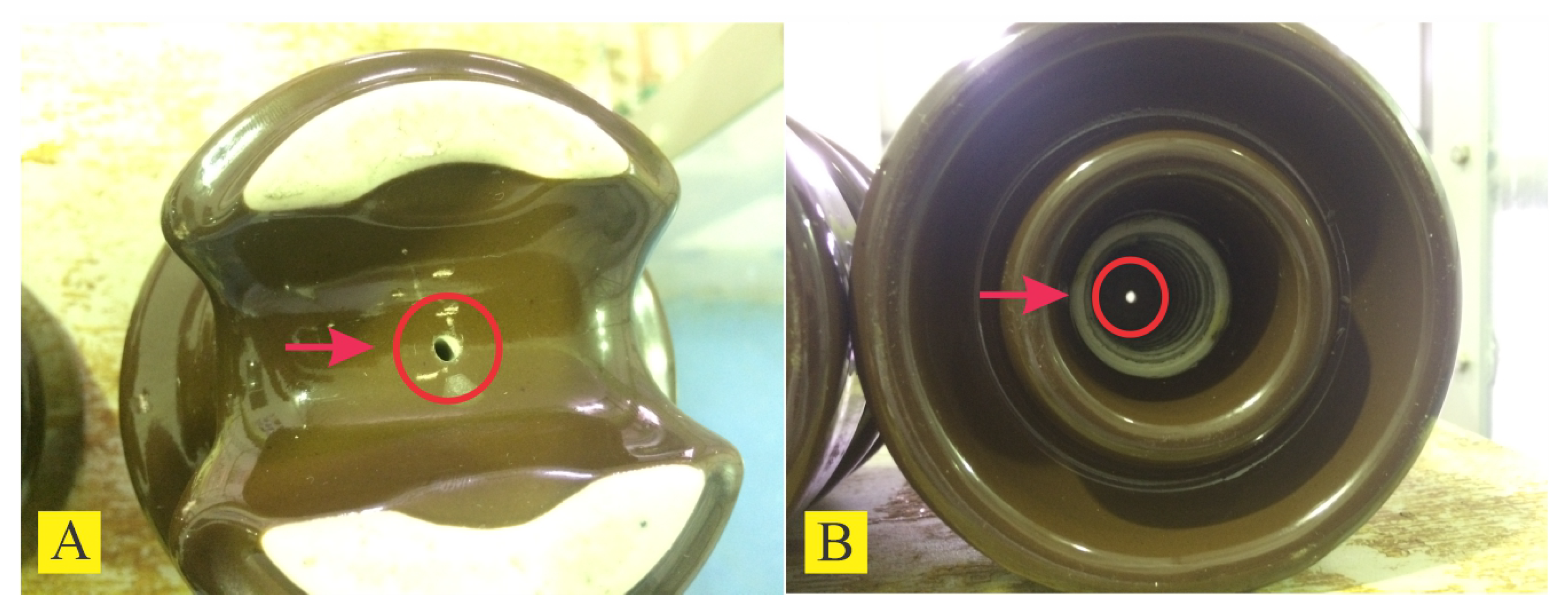 Sensors 24 01113 g001