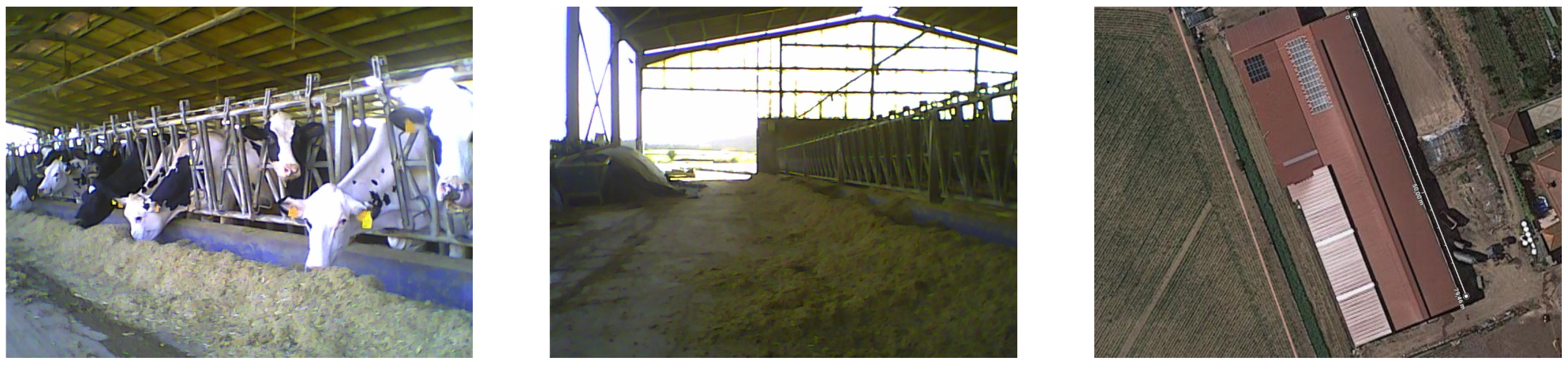 Sensors 24 01143 g009