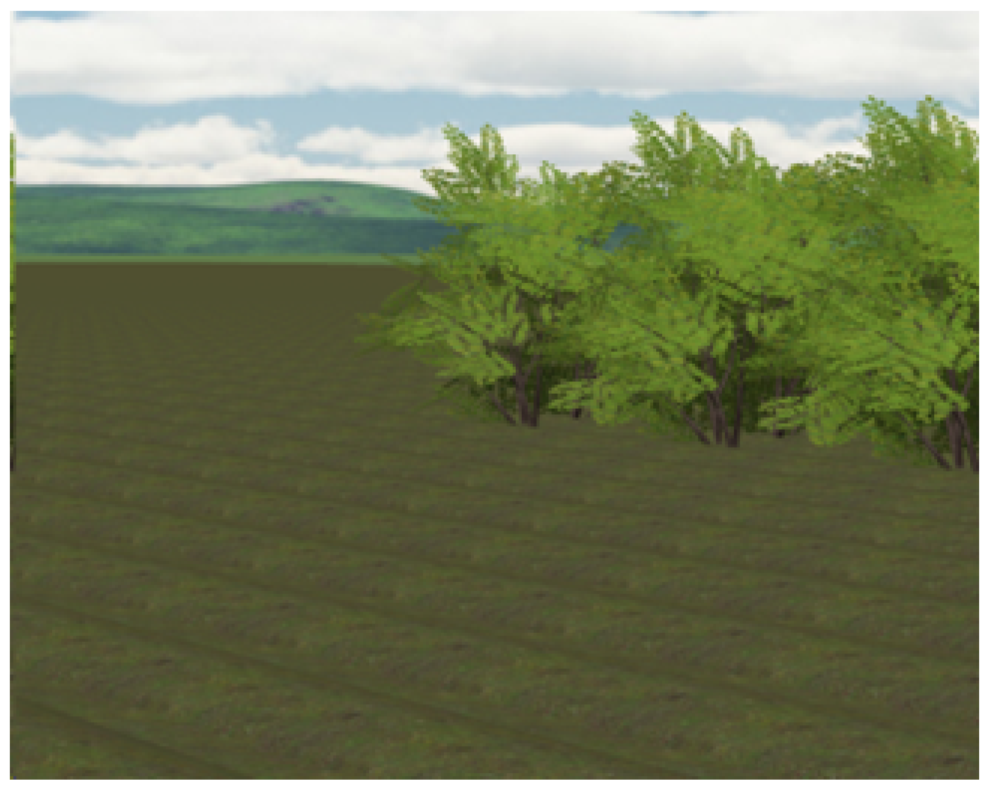 Sensors 24 01214 g007