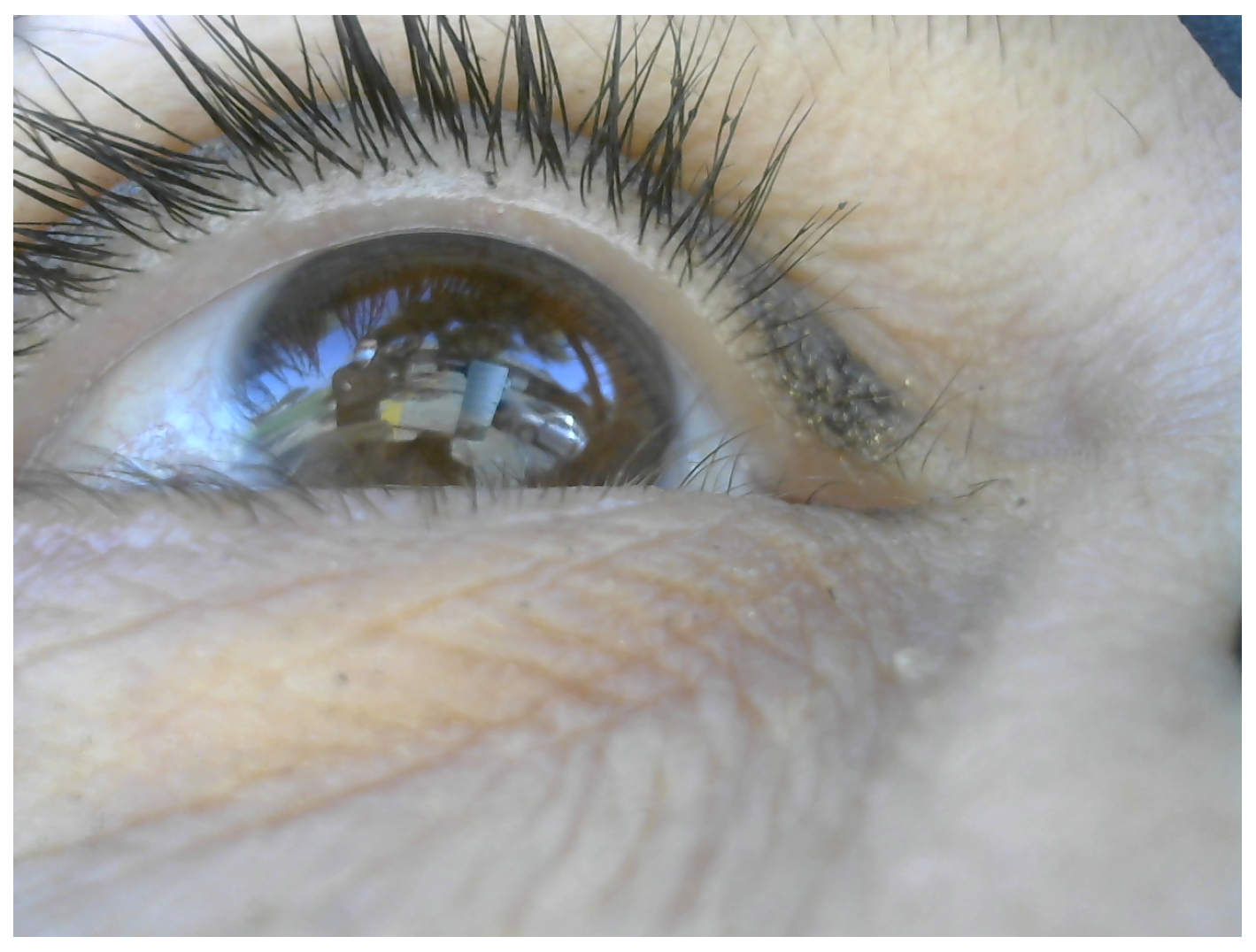 Sensors 24 01237 g002