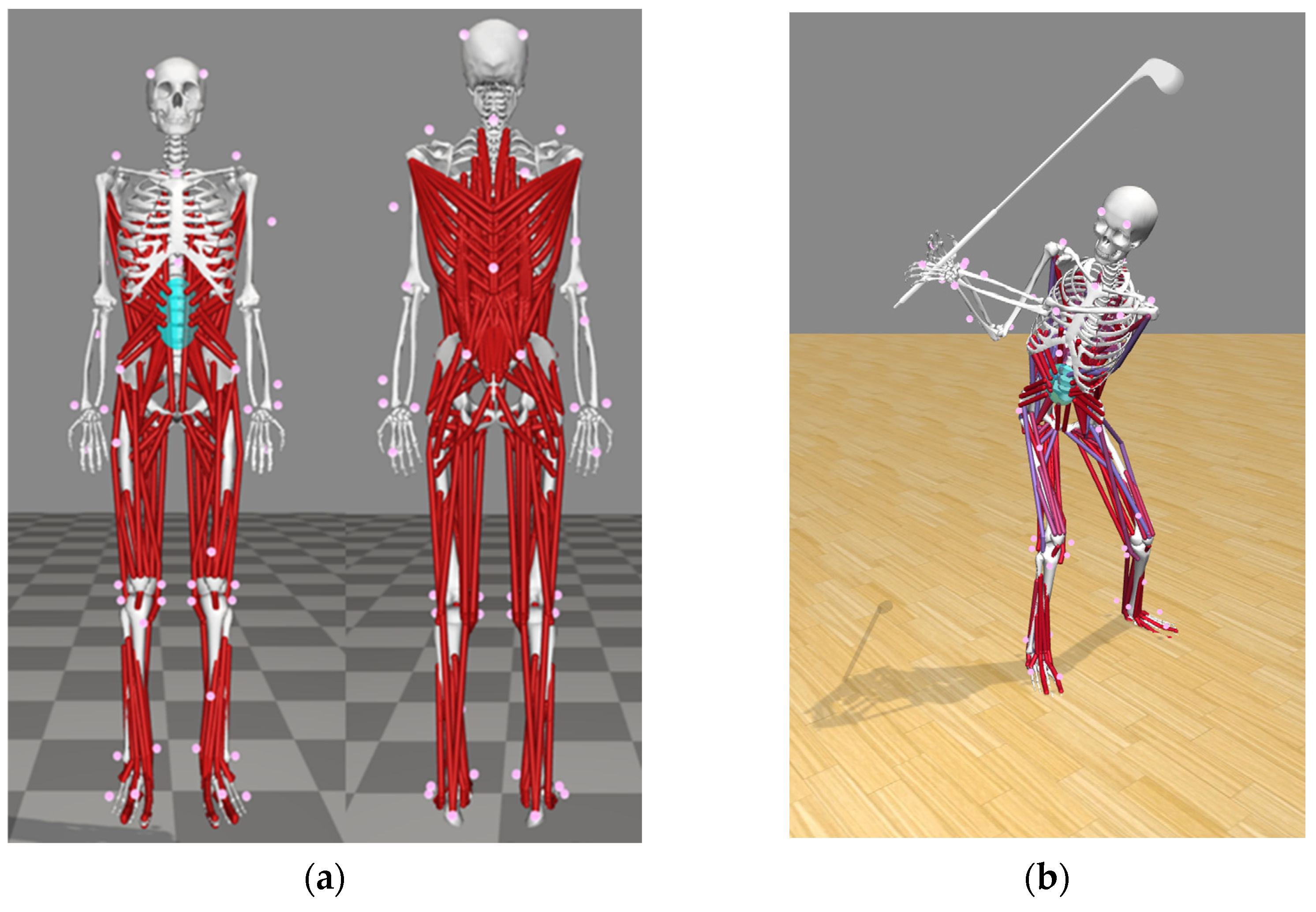 Sensors 24 01252 g002