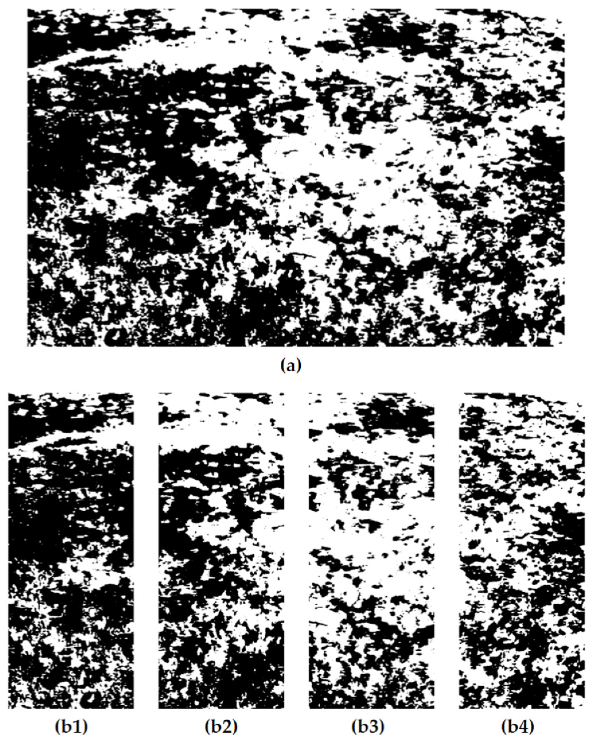 Sensors 24 01287 g006