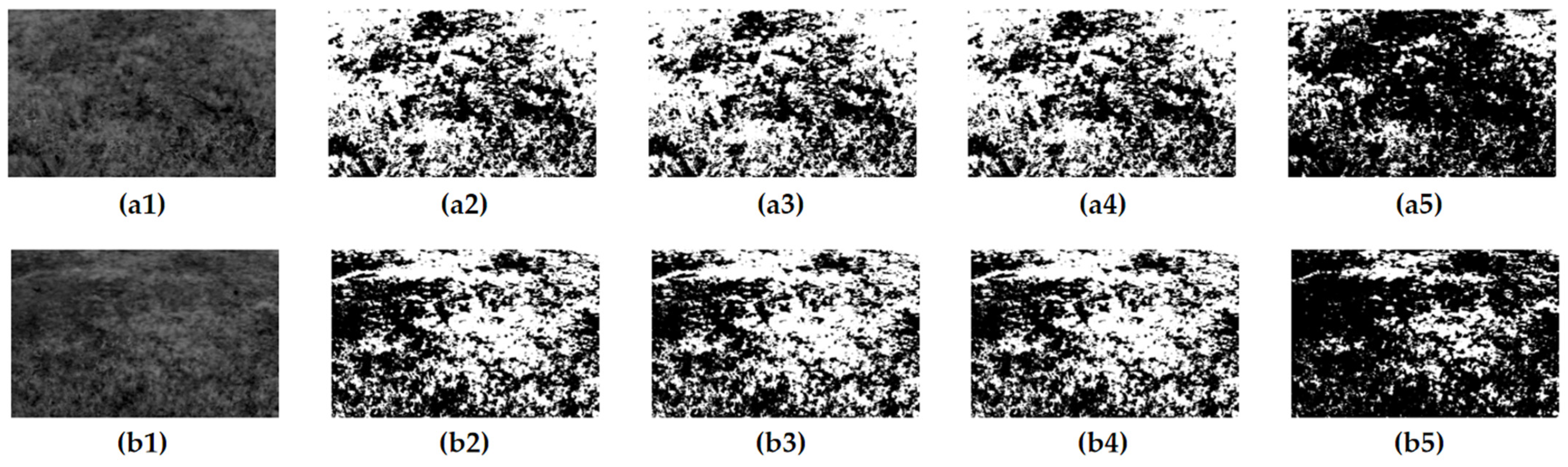 Sensors 24 01287 g012