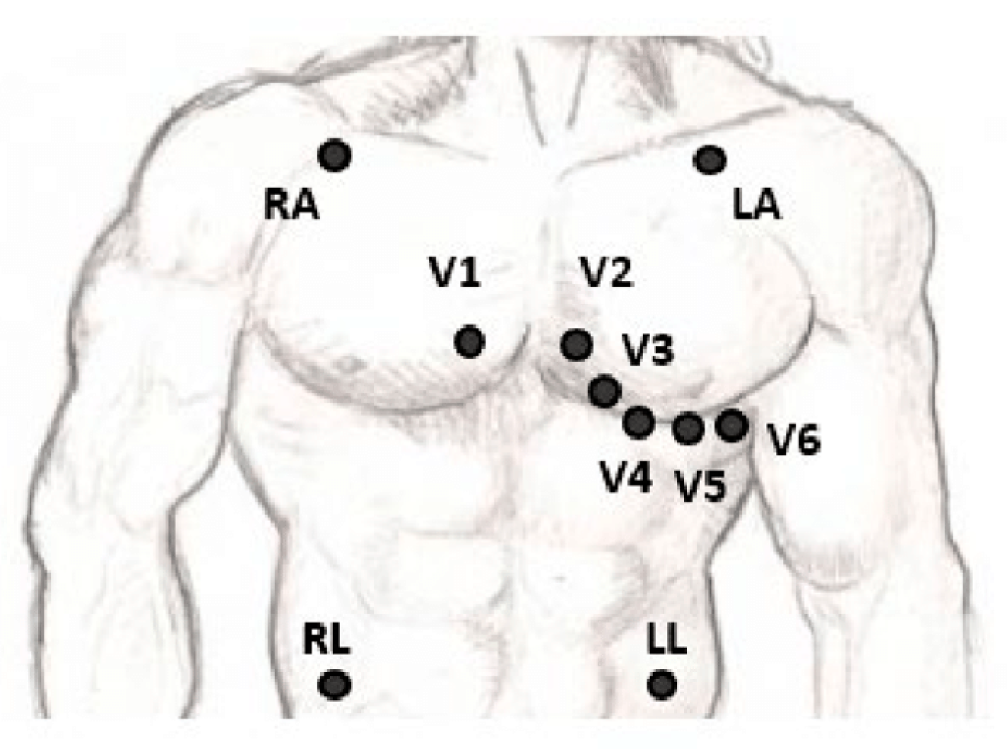 Sensors 24 01318 g001