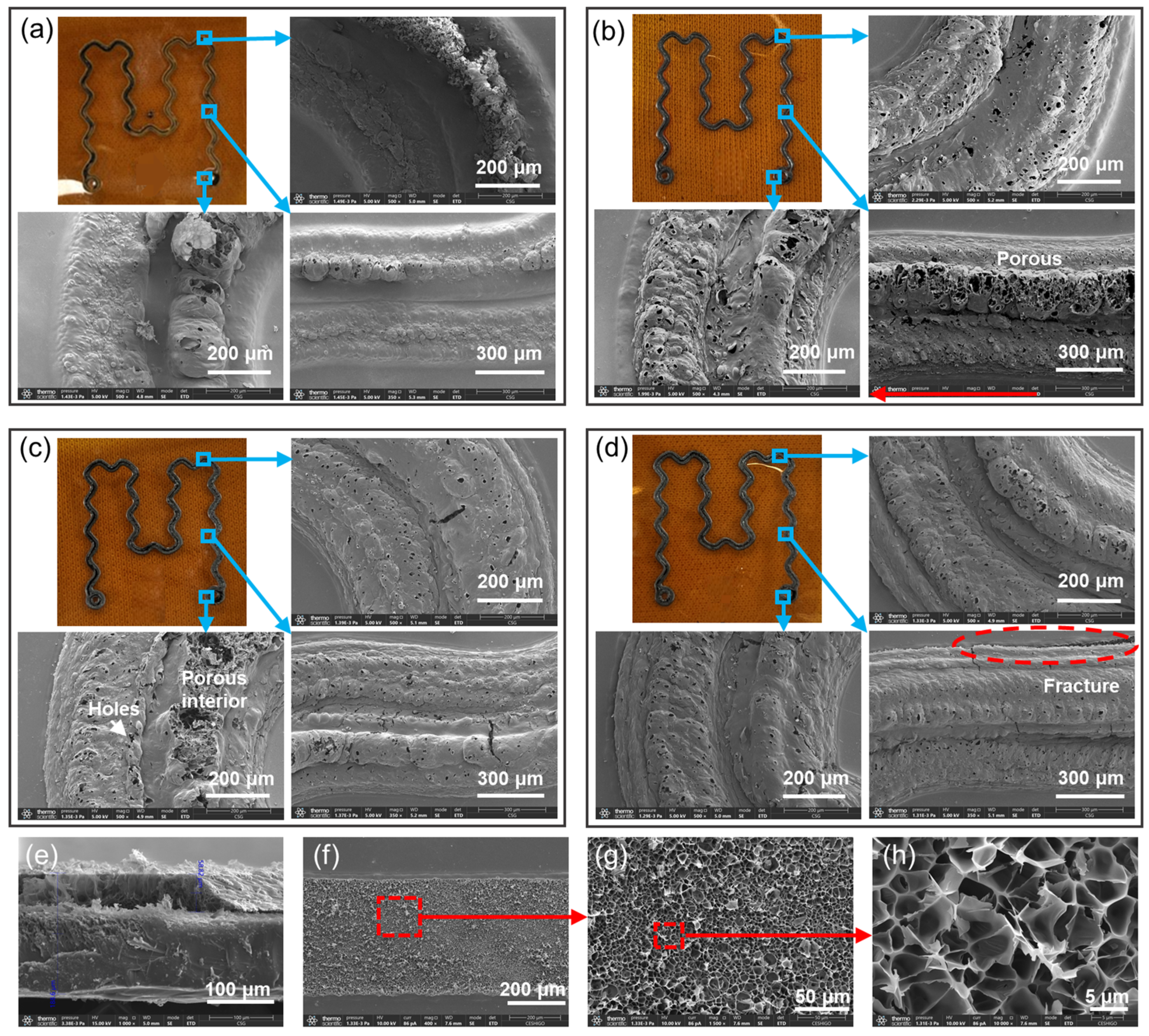 Sensors 24 01349 g002