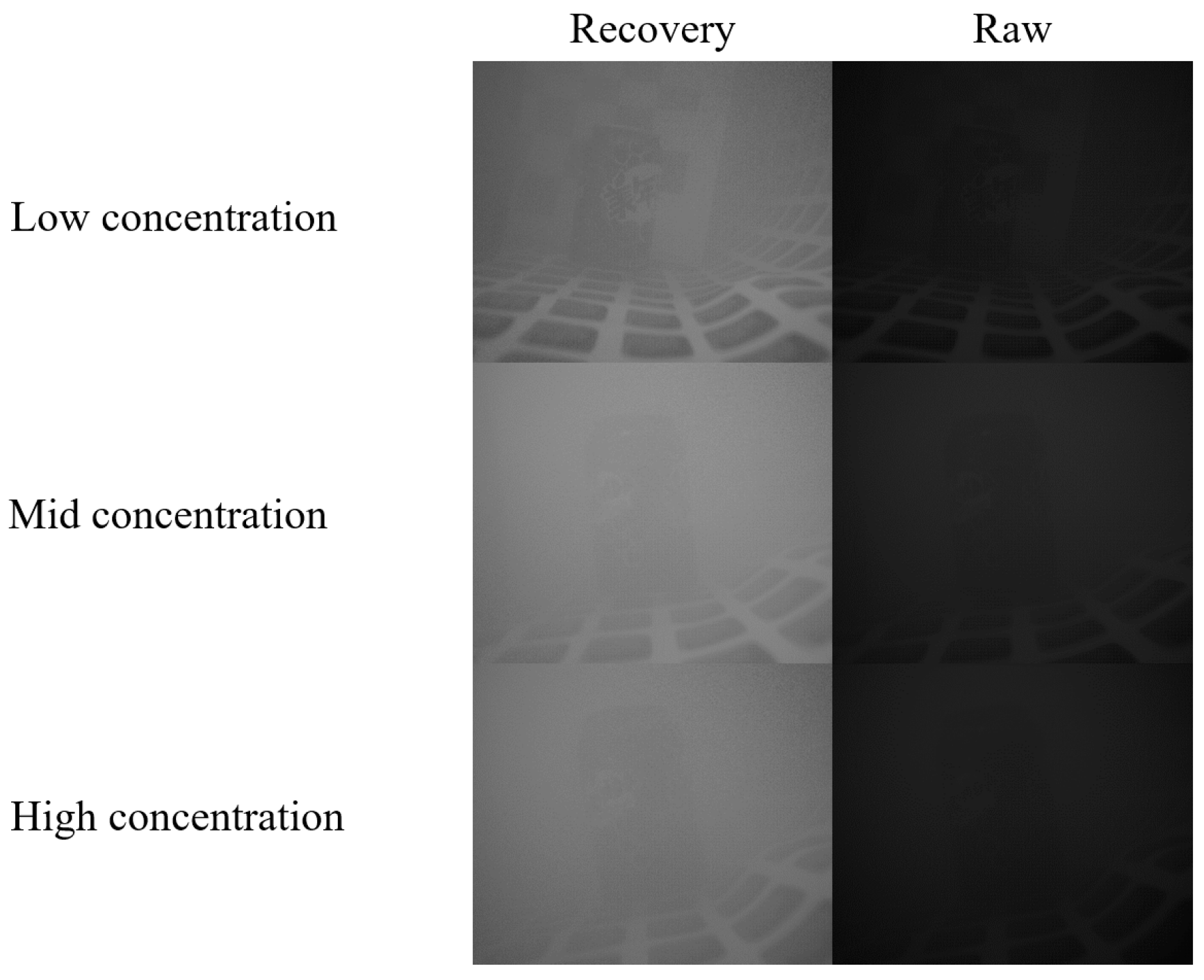 Sensors 24 01367 g007