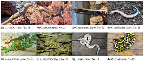 Sensors 24 01372 g0a1