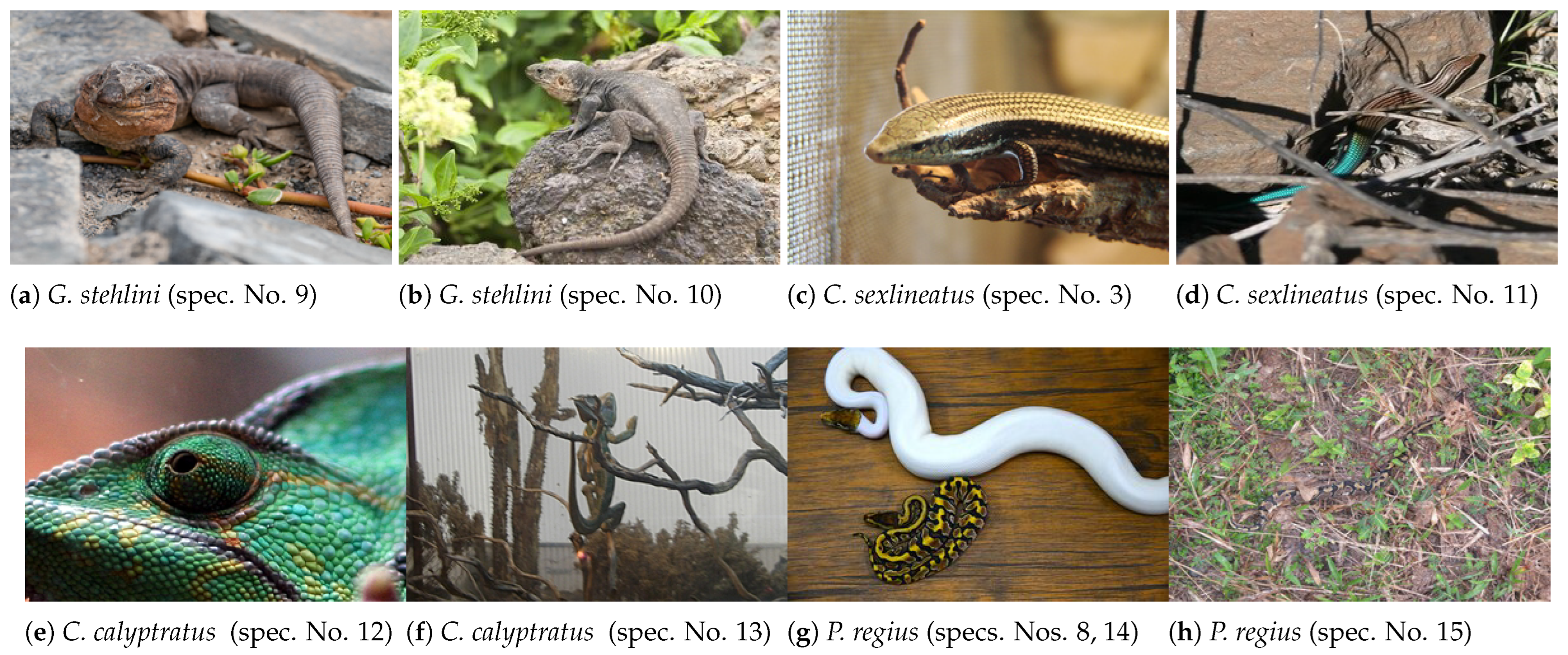 Sensors 24 01372 g0a2