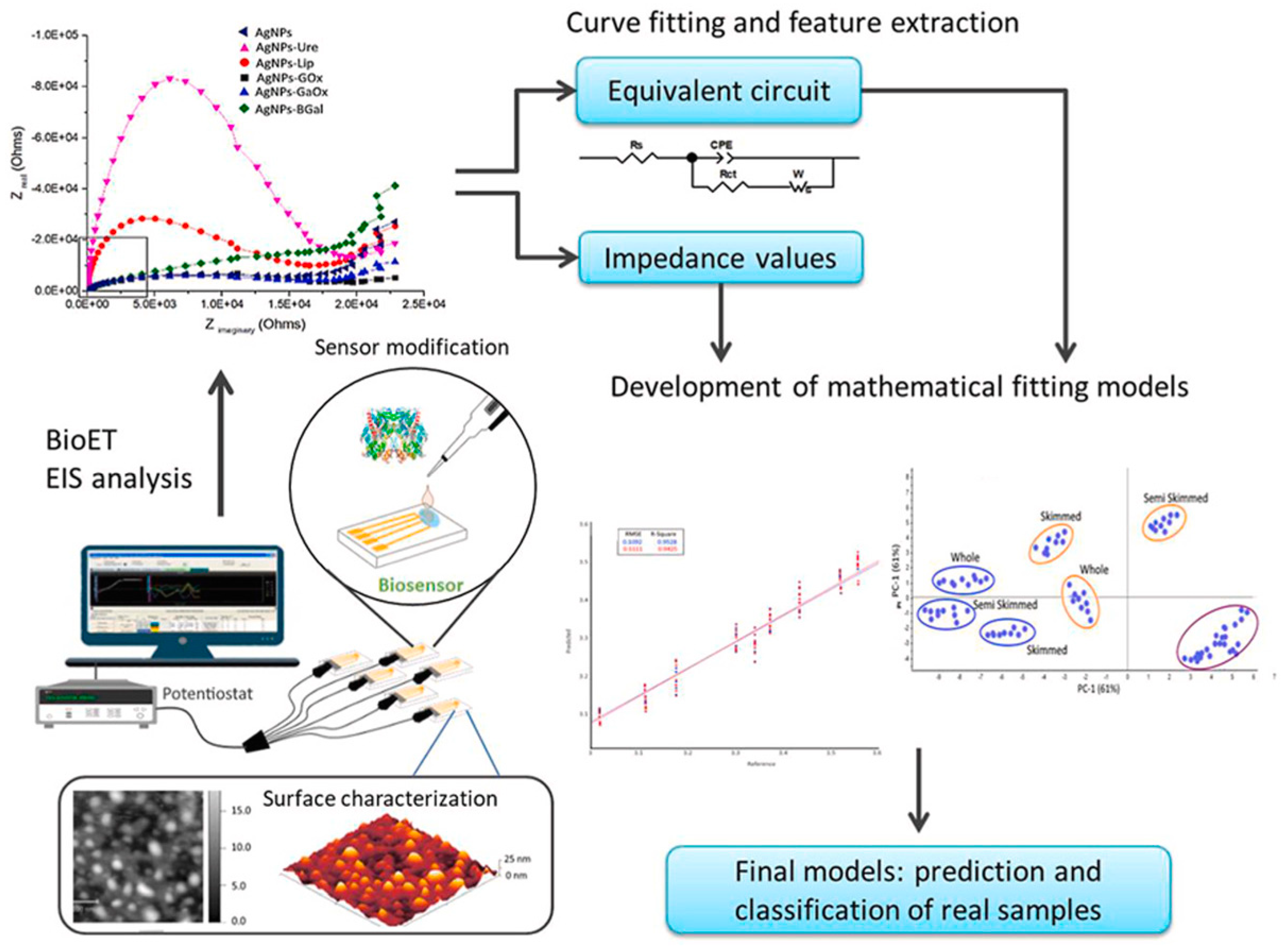 Sensors 24 01383 g005
