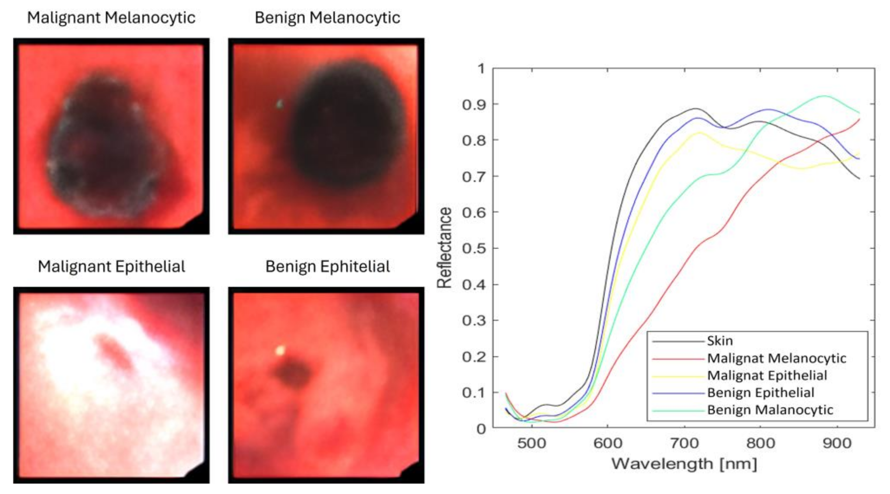 Sensors 24 01399 g002