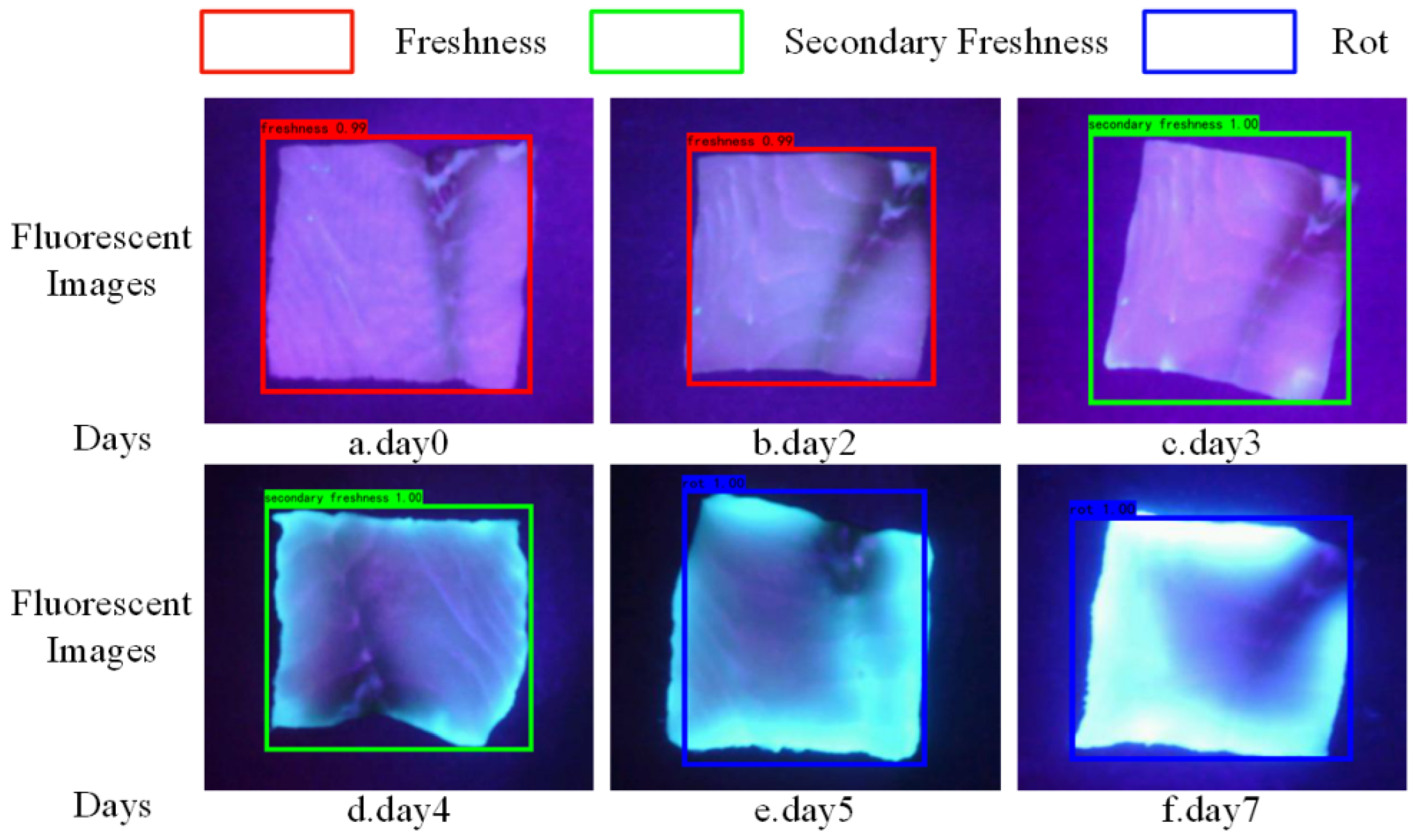 Sensors 24 01401 g009