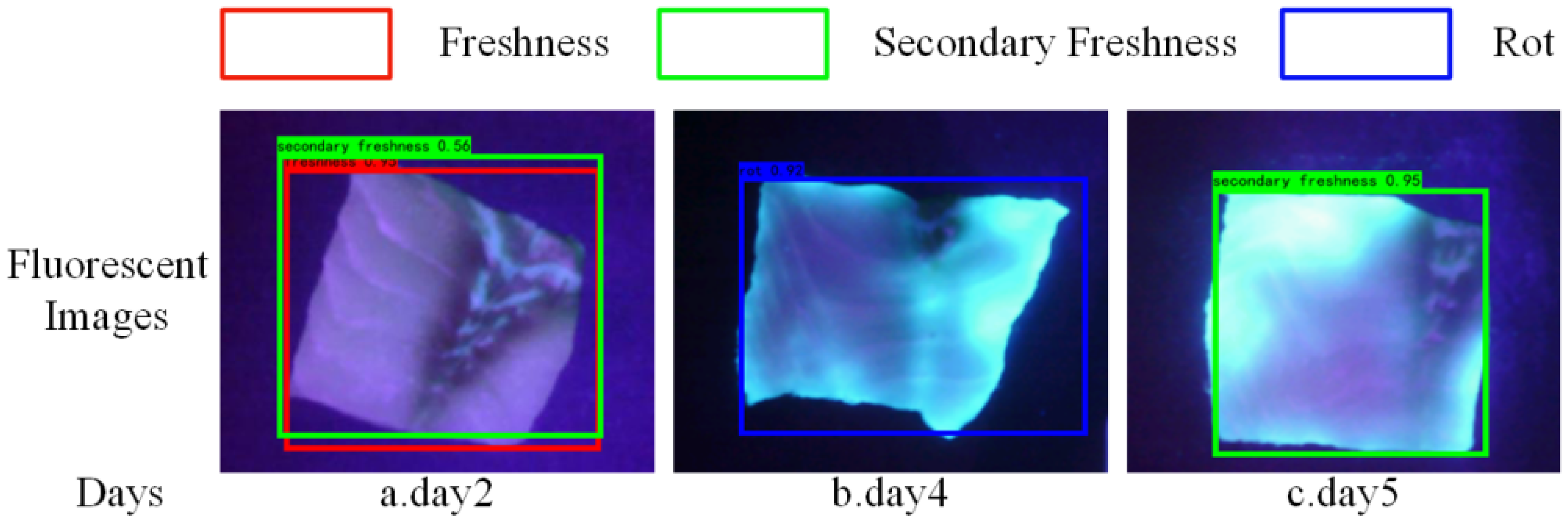 Sensors 24 01401 g011