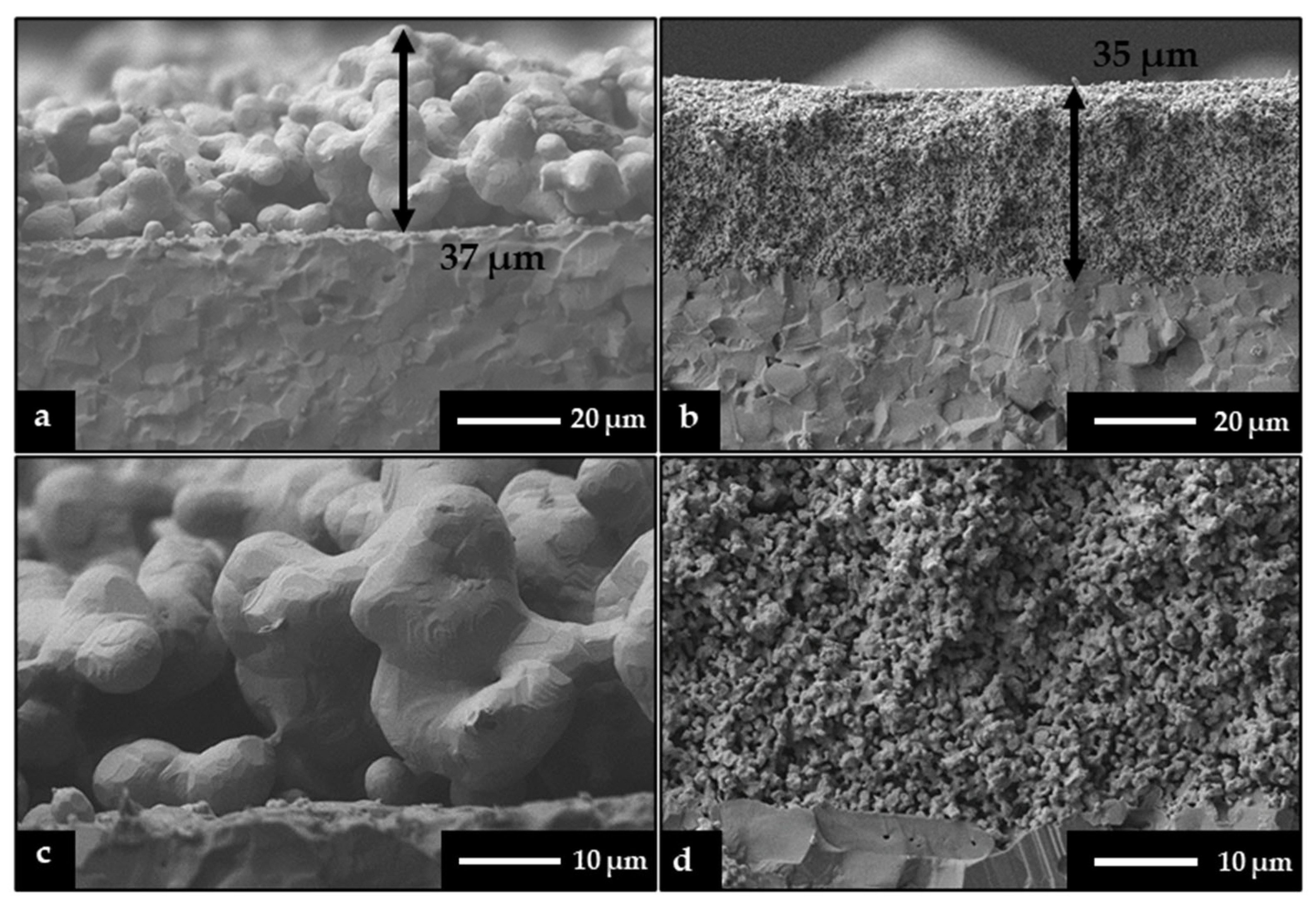 Sensors 24 01407 g006