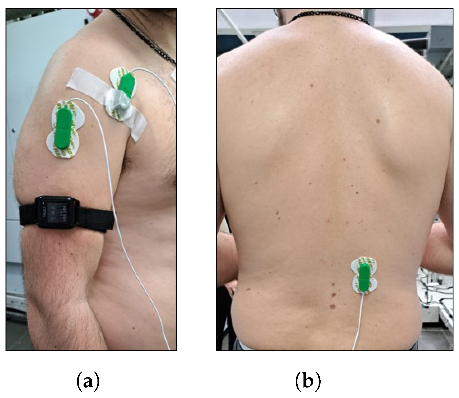 Sensors 24 01445 g004