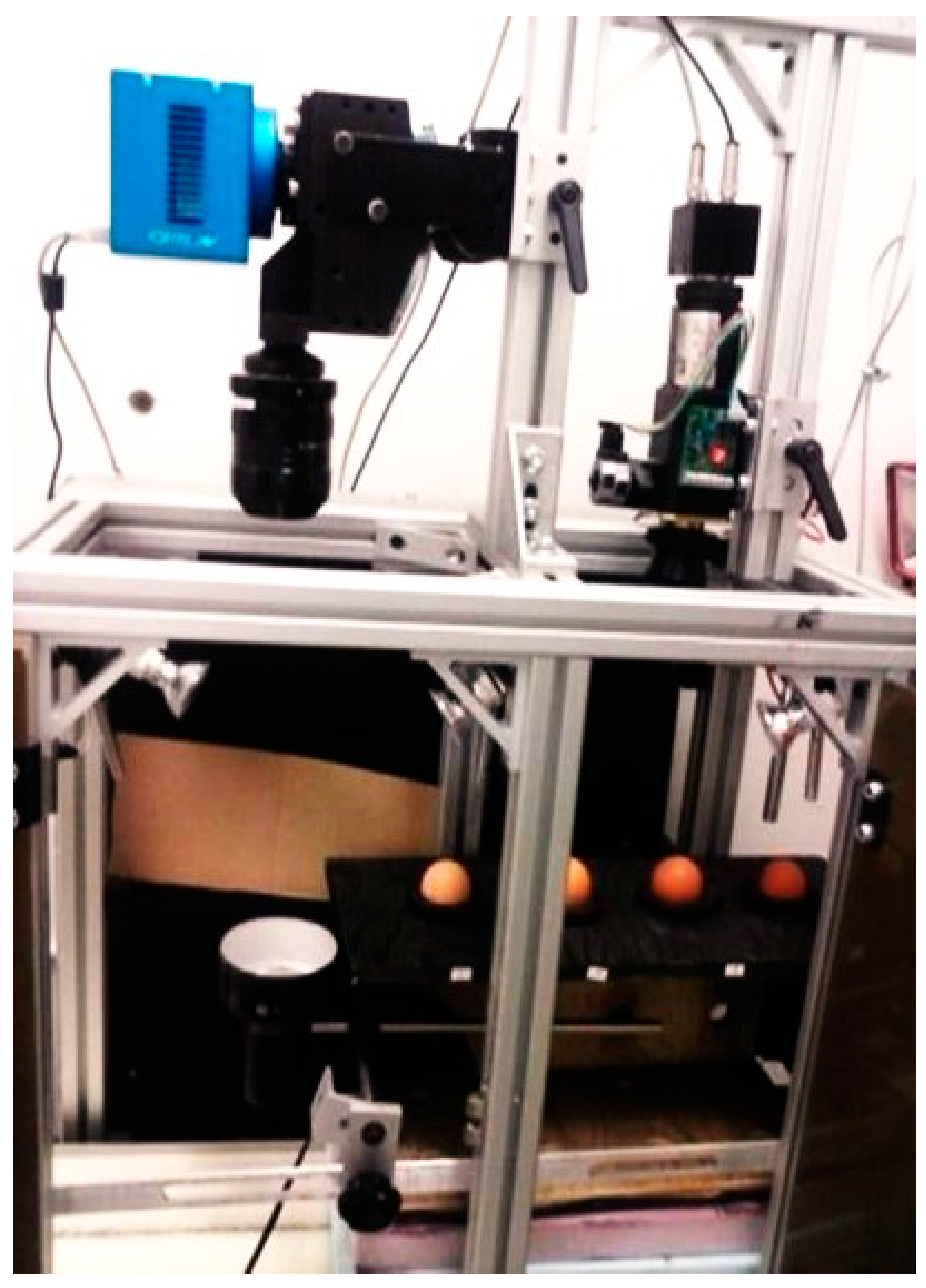 Sensors 24 01485 g001