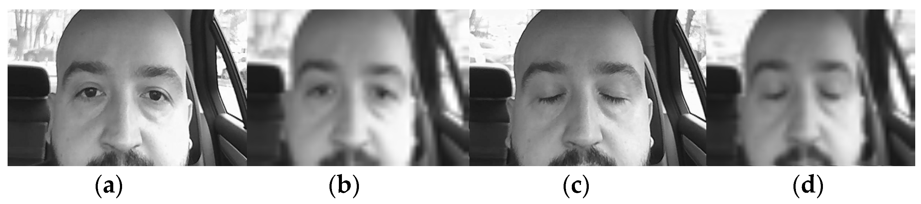 Sensors 24 01541 g006