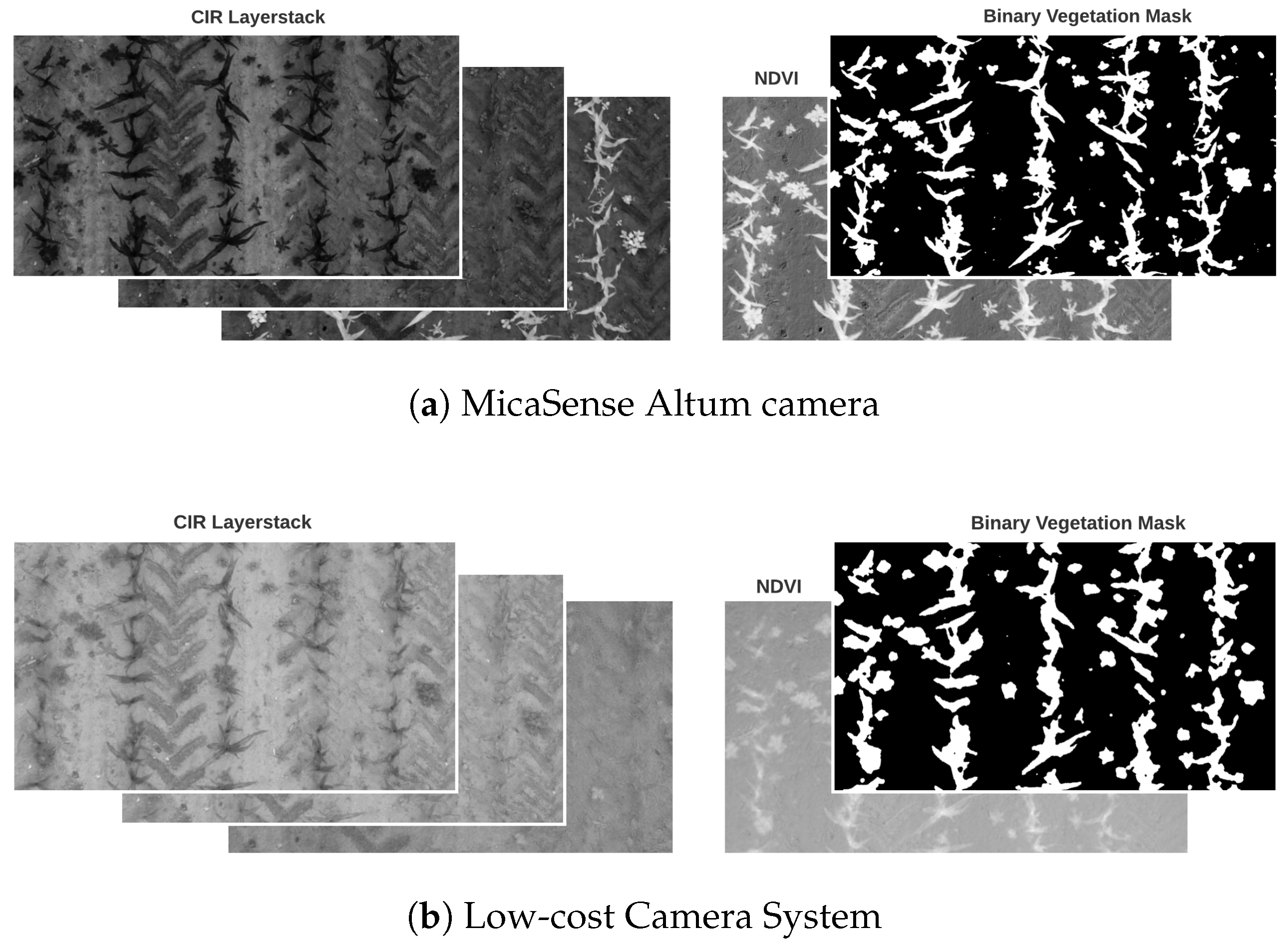 Sensors 24 01544 g004