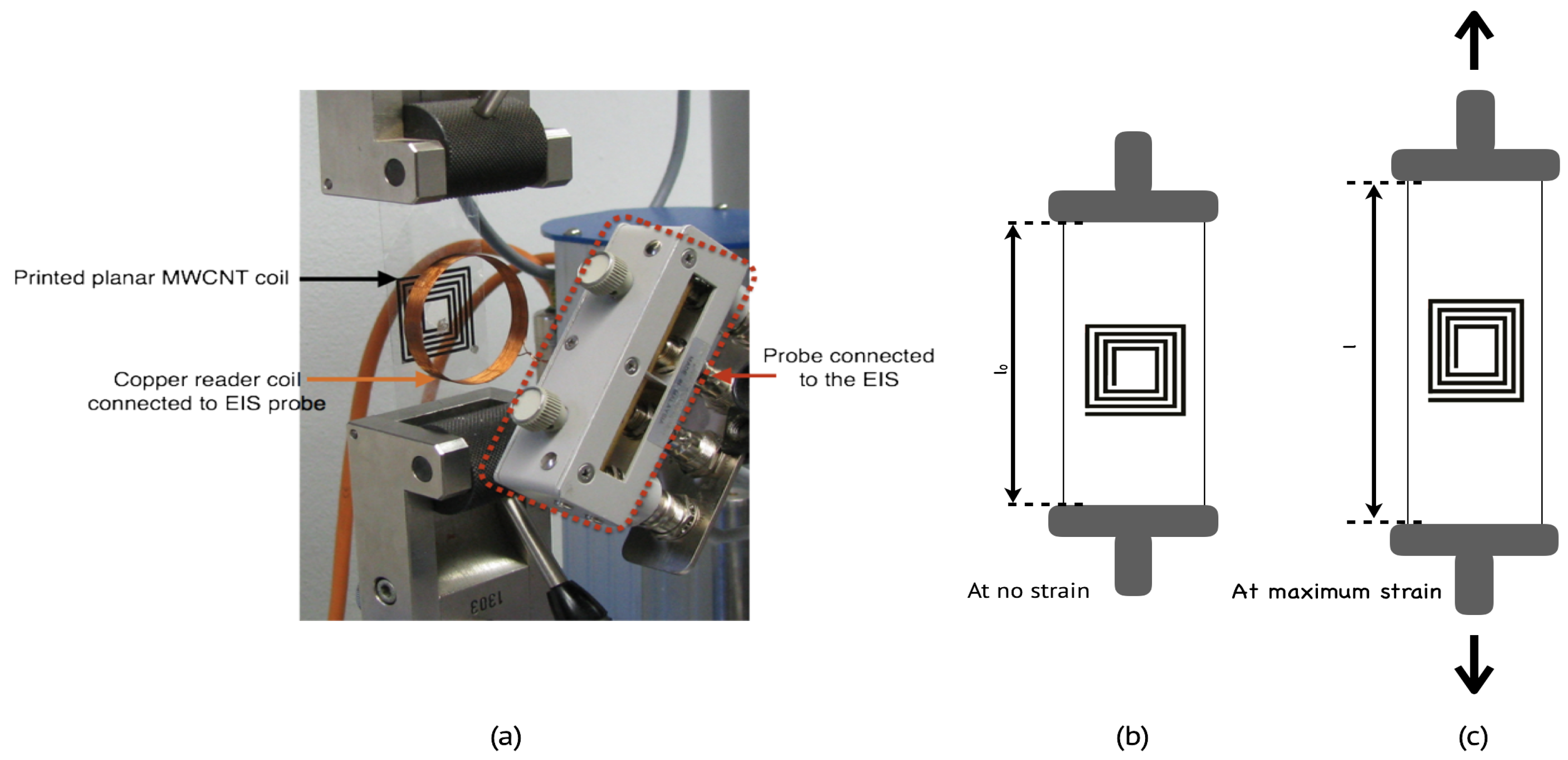 Sensors 24 01585 g004