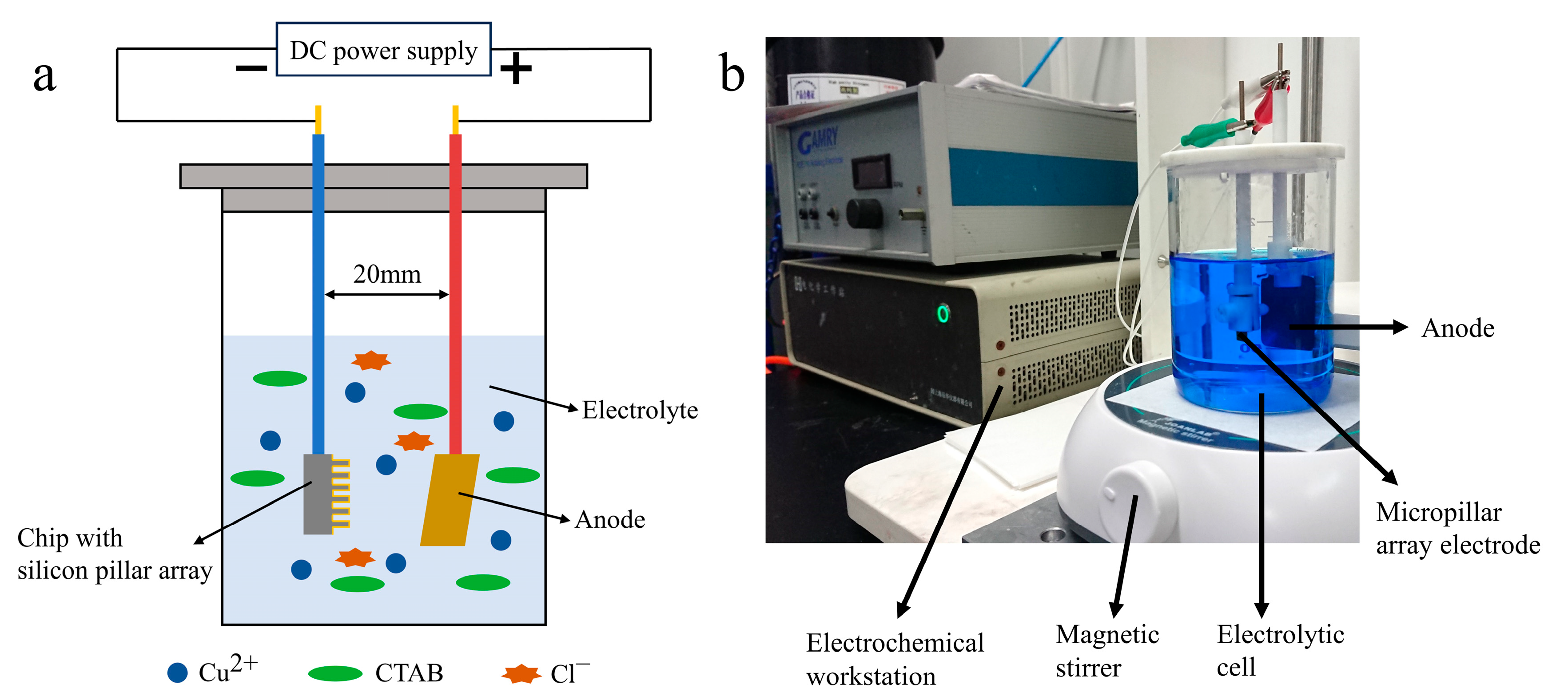 Sensors 24 01603 g002