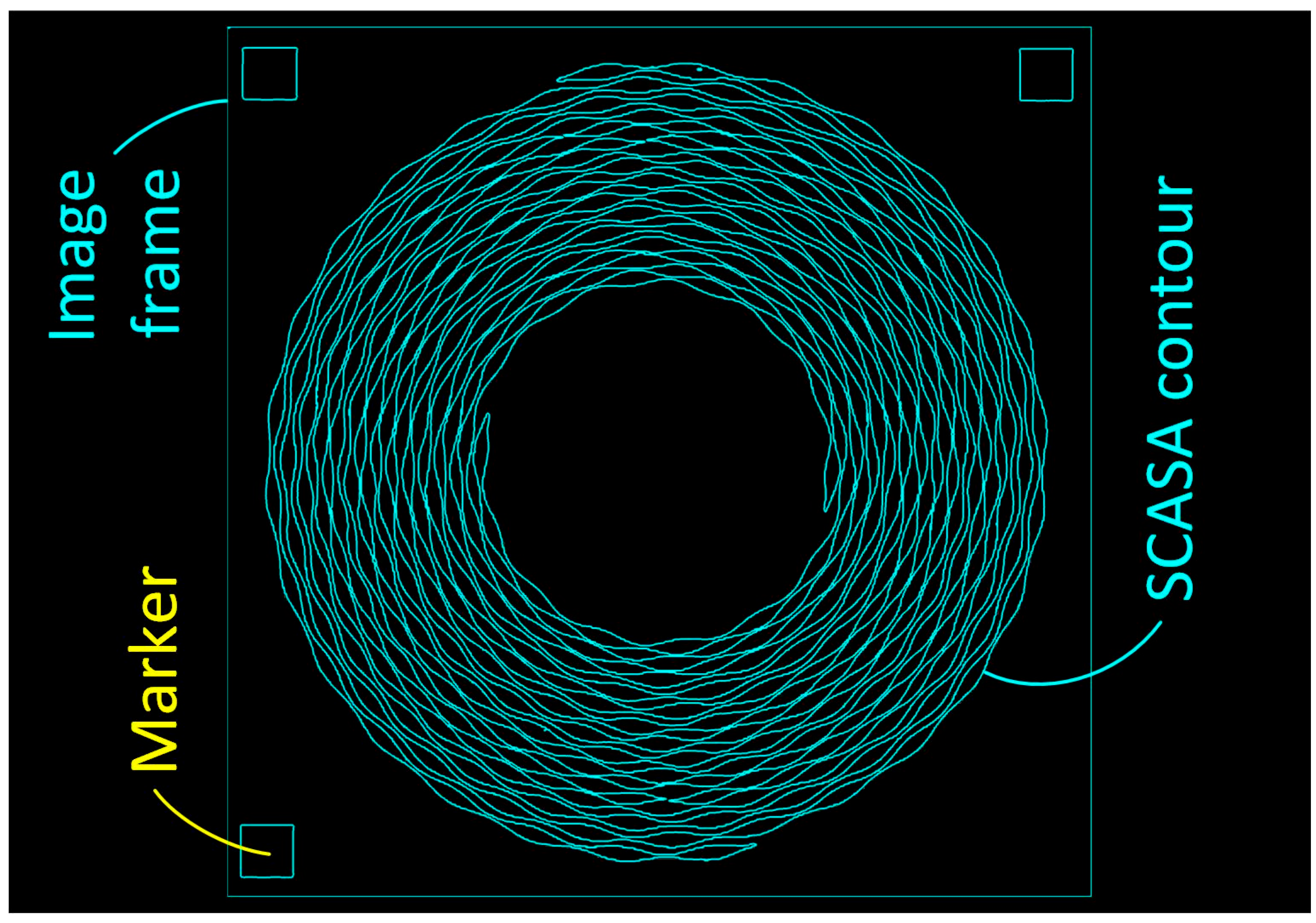 Sensors 24 01619 g006