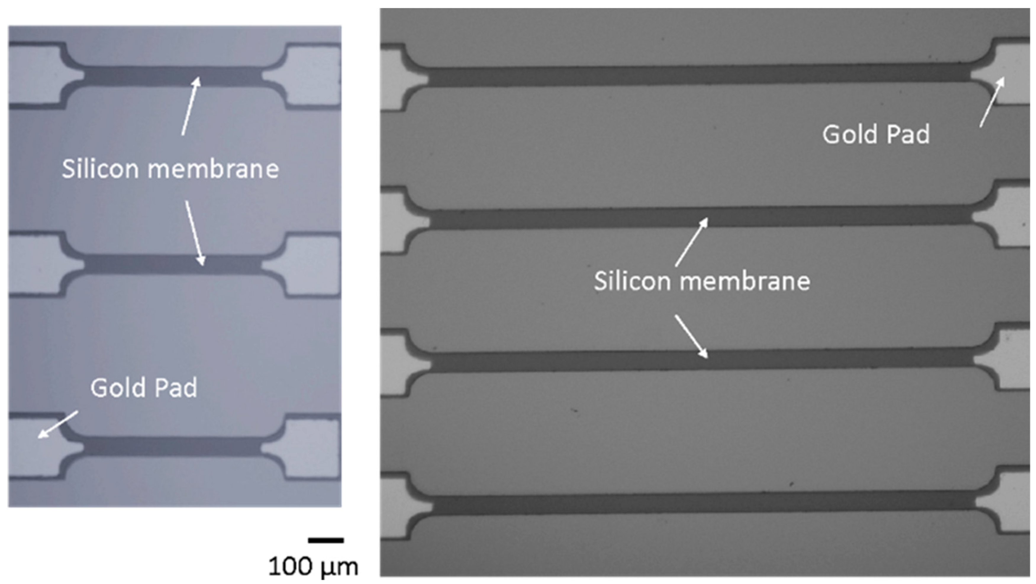 Sensors 24 01637 g001