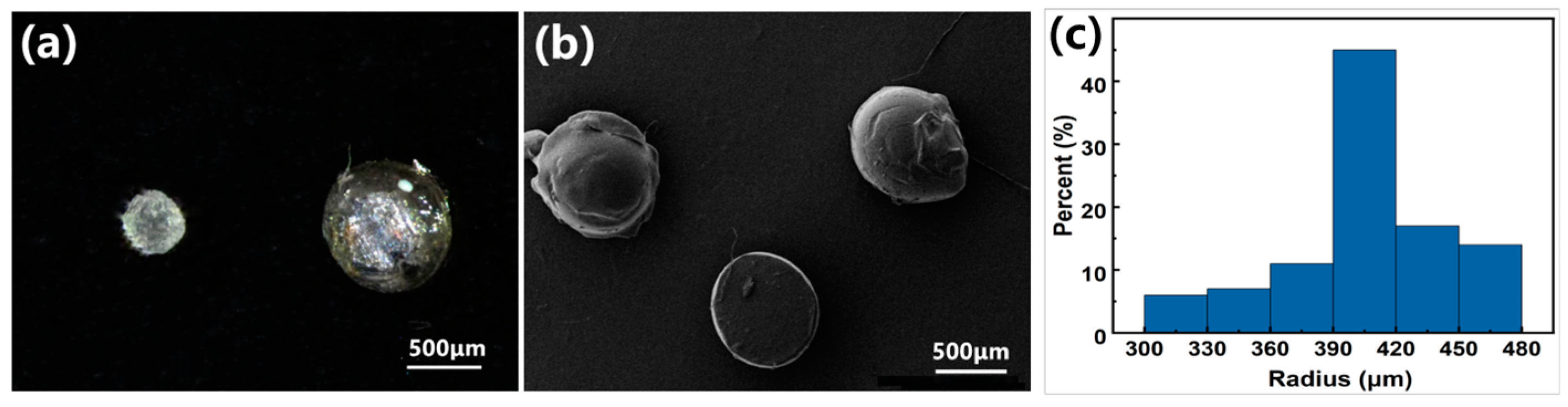 Sensors 24 01640 g002