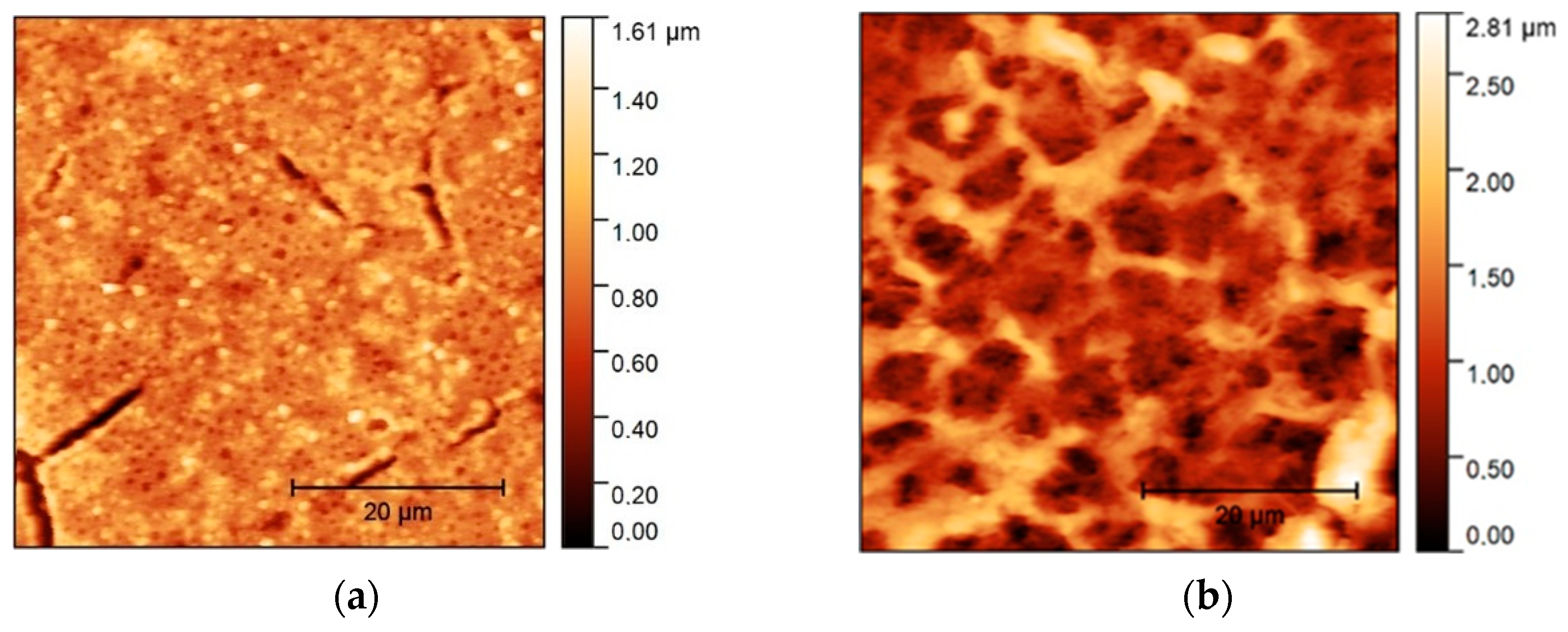 Sensors 24 01688 g004