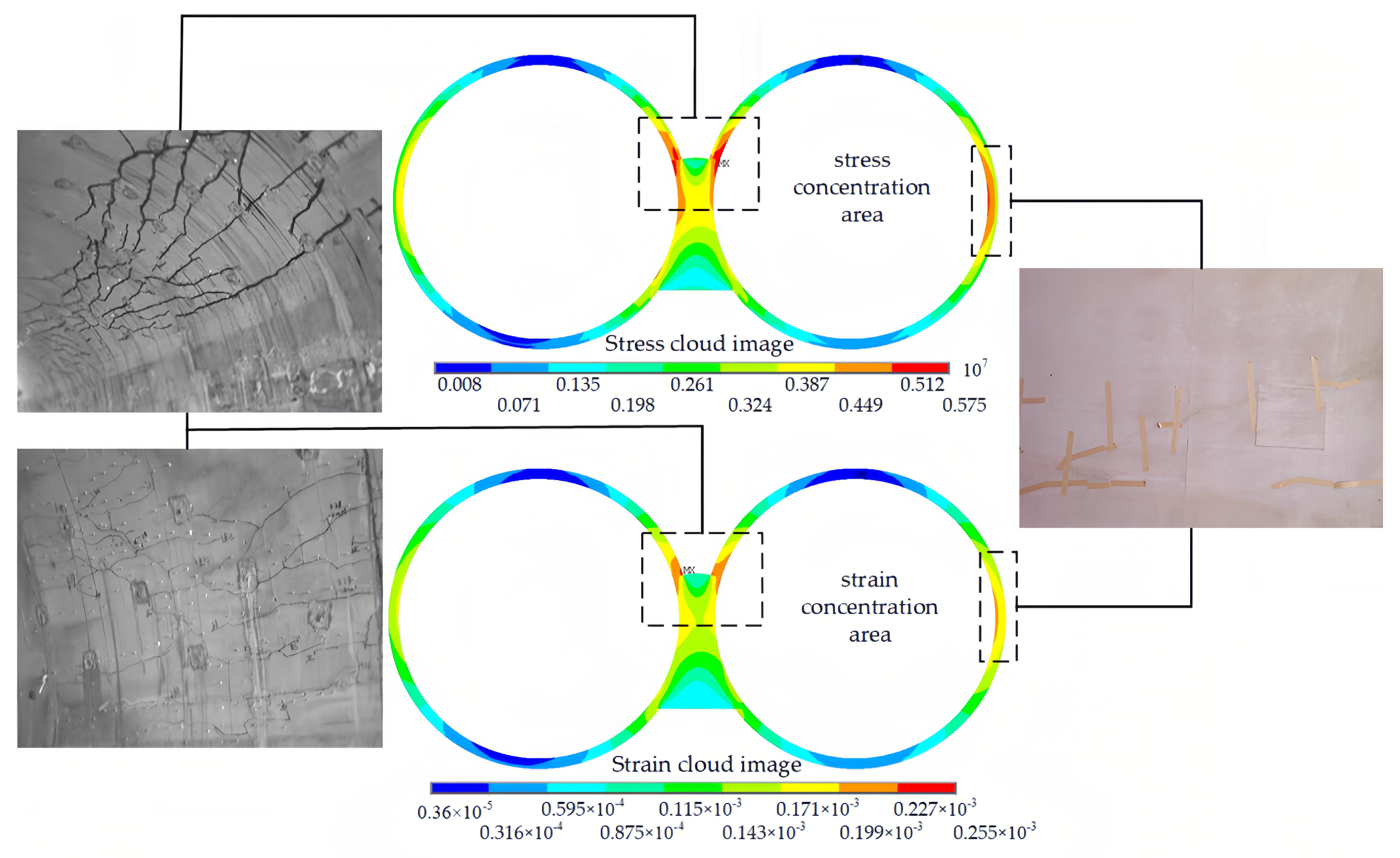 Sensors 24 01749 g006