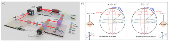 Sensors 24 01755 g009