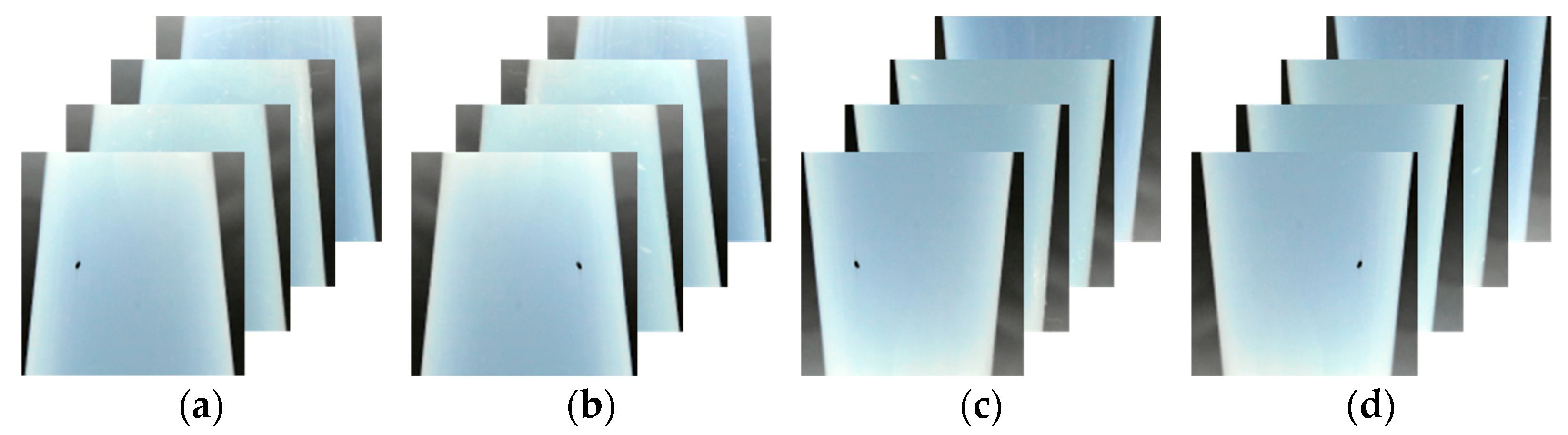 Sensors 24 01791 g007