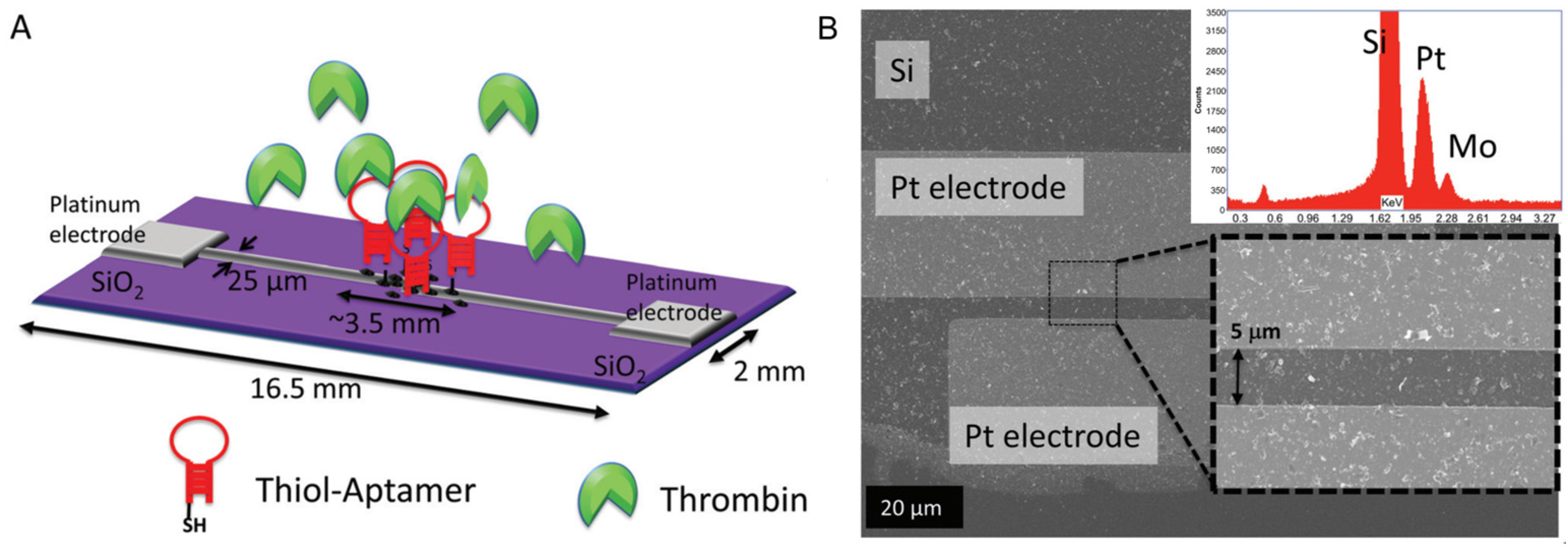 Sensors 24 01817 g001
