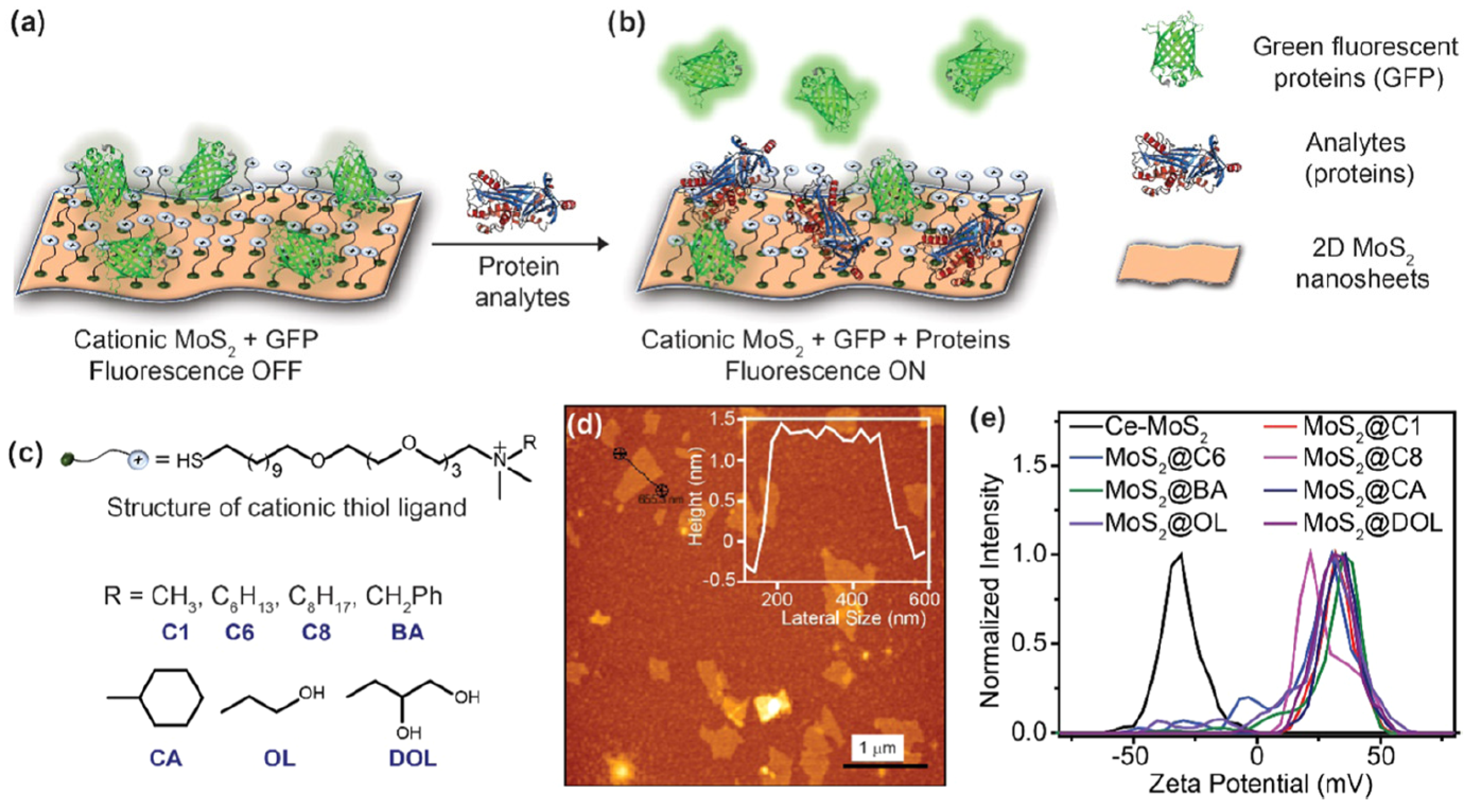 Sensors 24 01817 g002