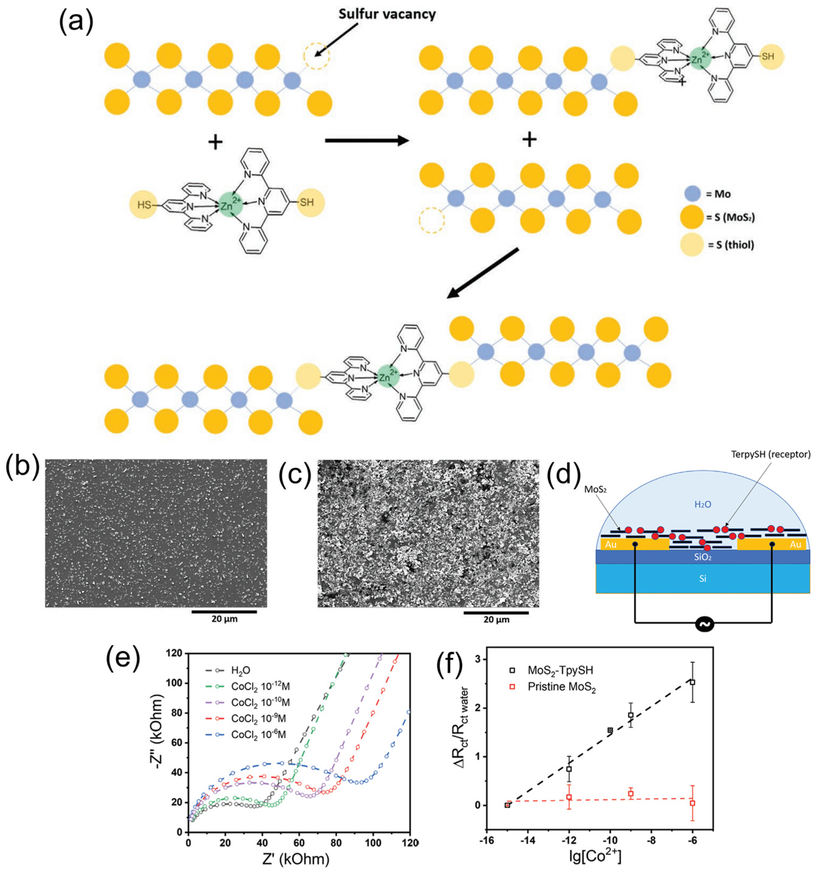 Sensors 24 01817 g008