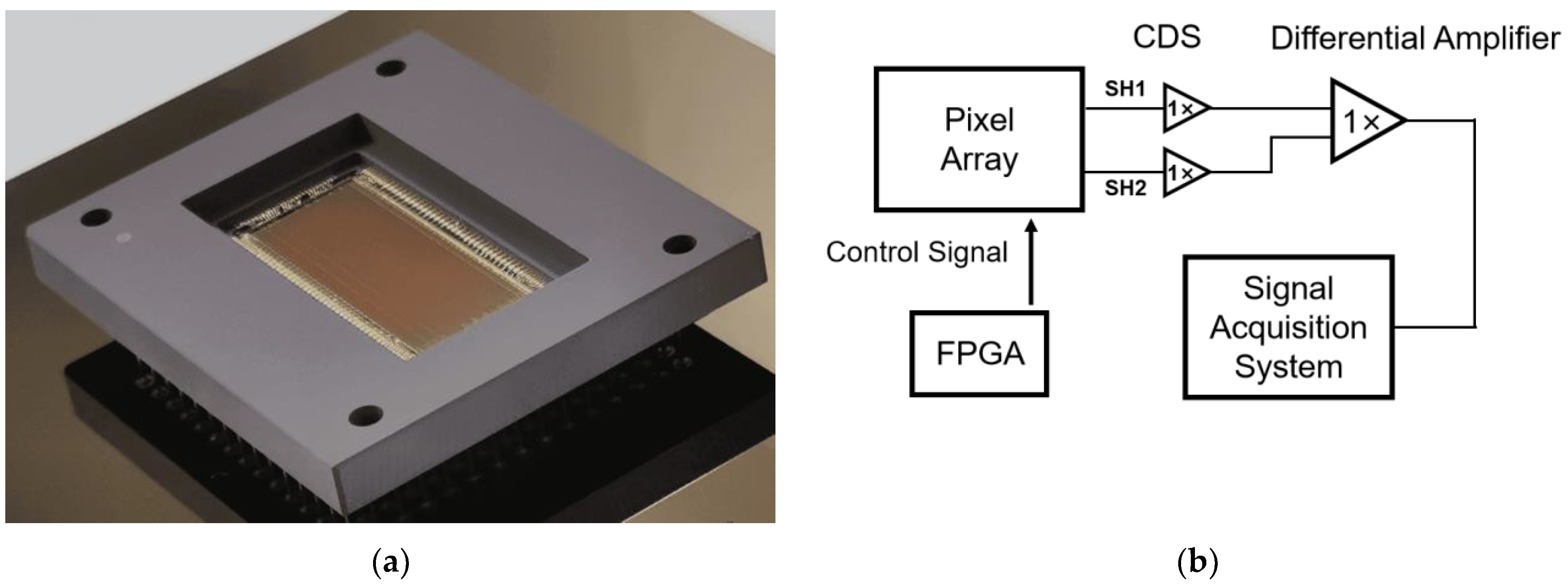Sensors 24 01841 g002