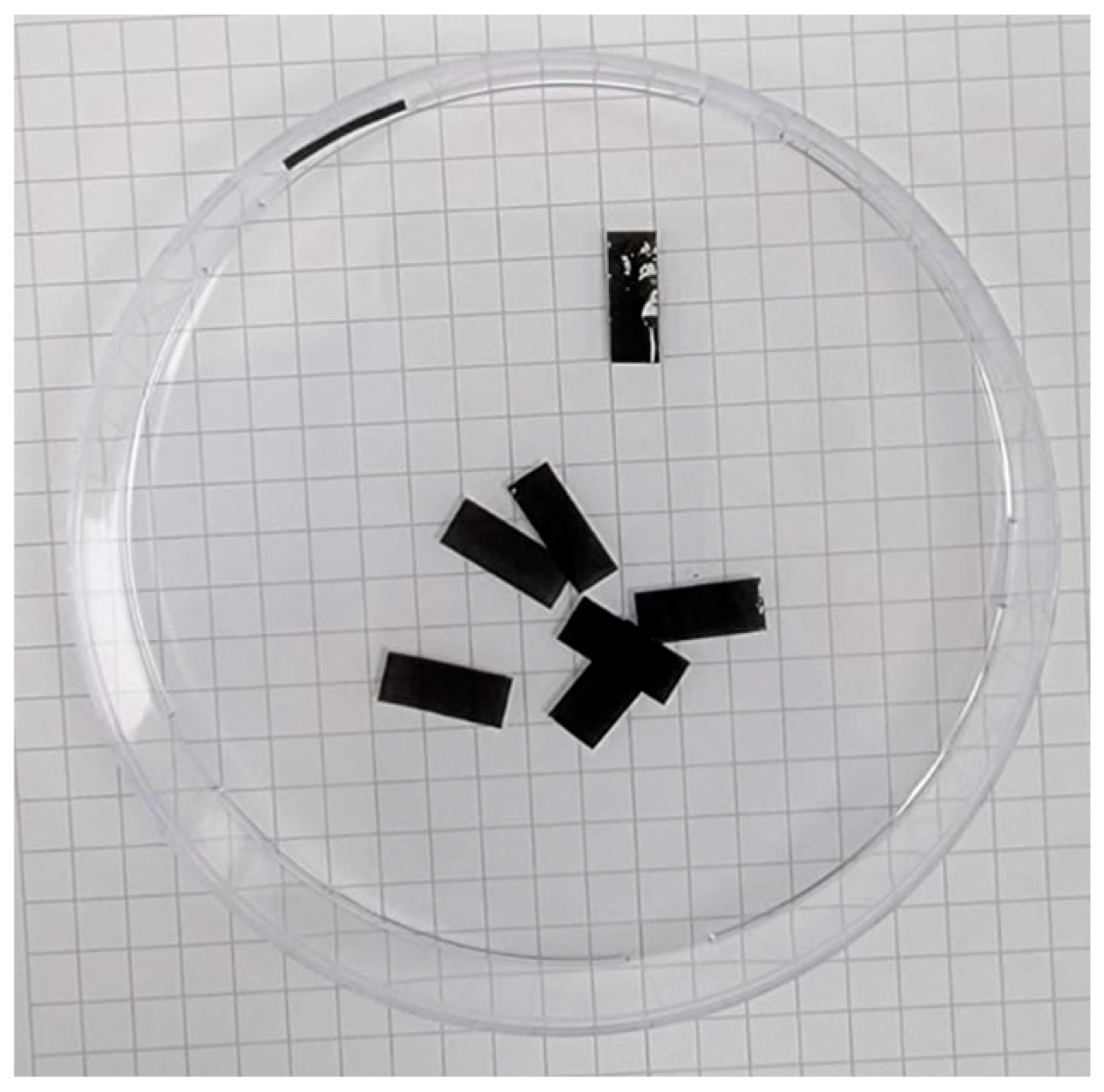 Sensors 24 01859 g002