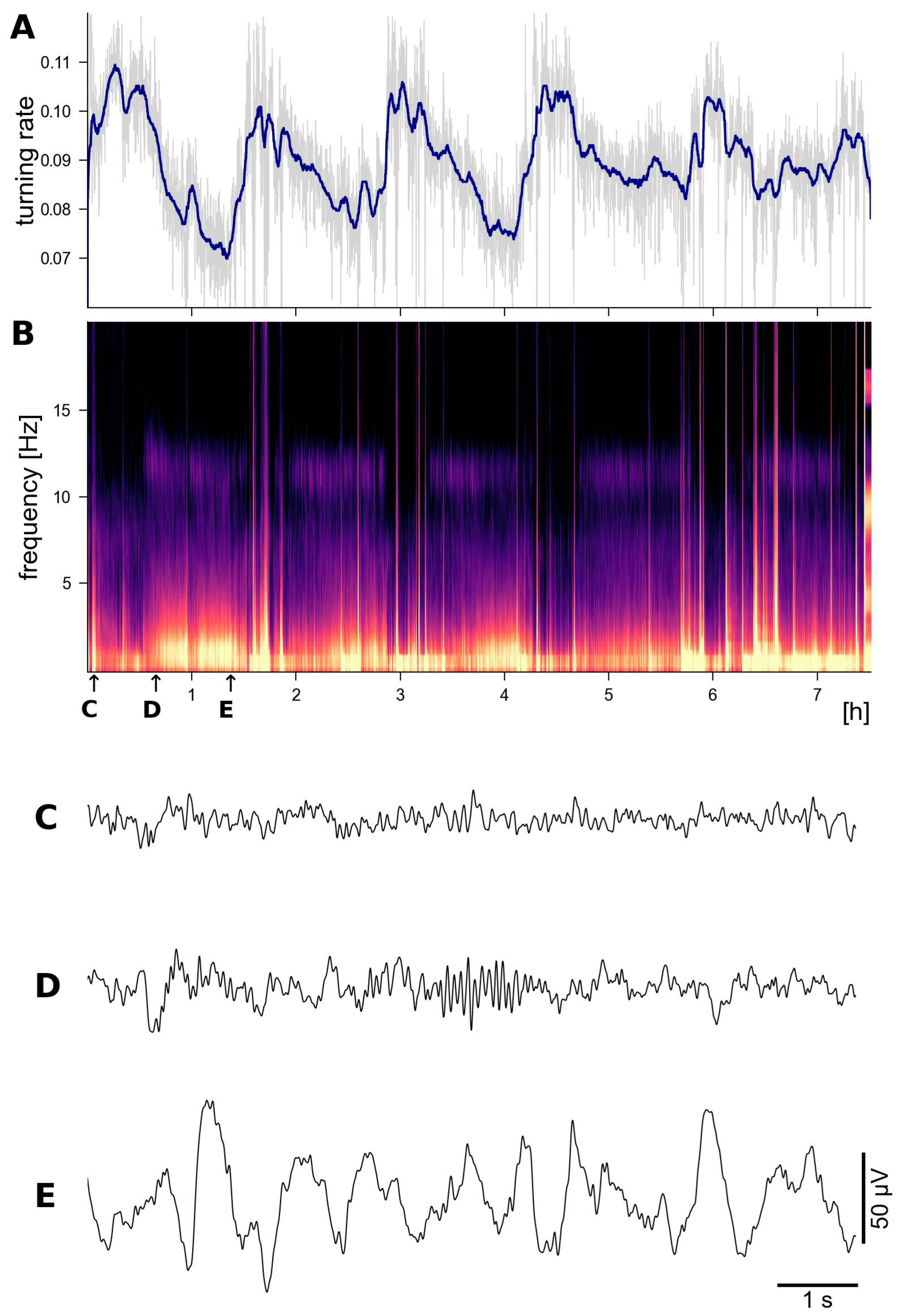 Sensors 24 01867 g010