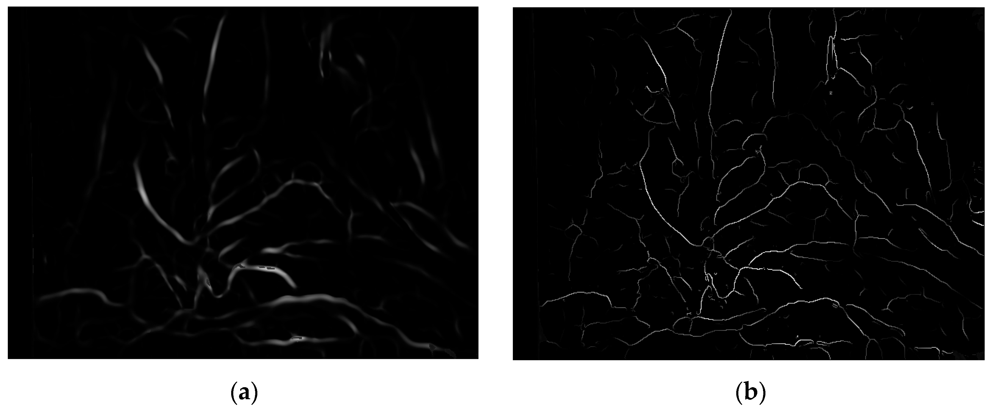 Sensors 24 01880 g006