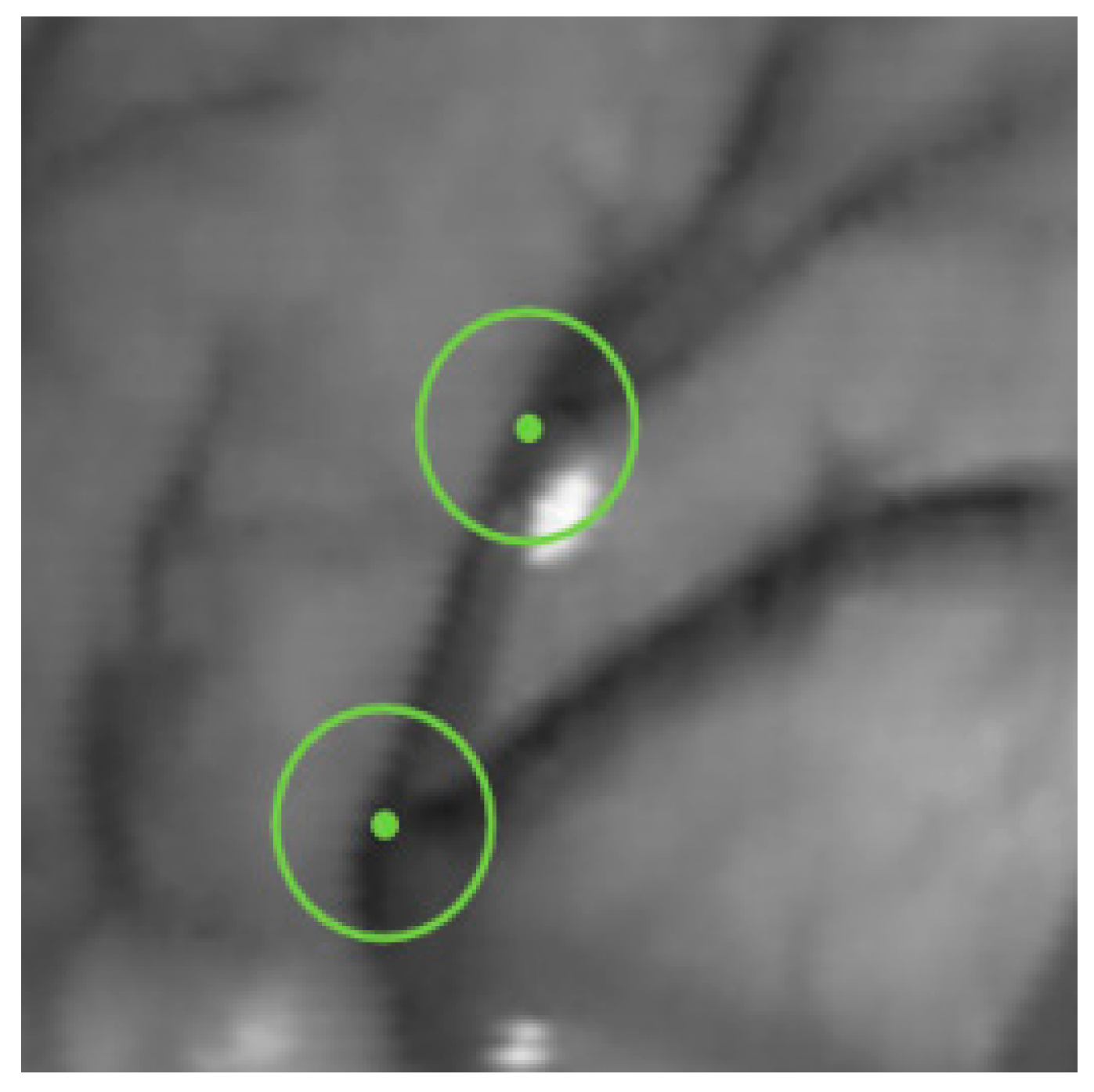 Sensors 24 01880 g007