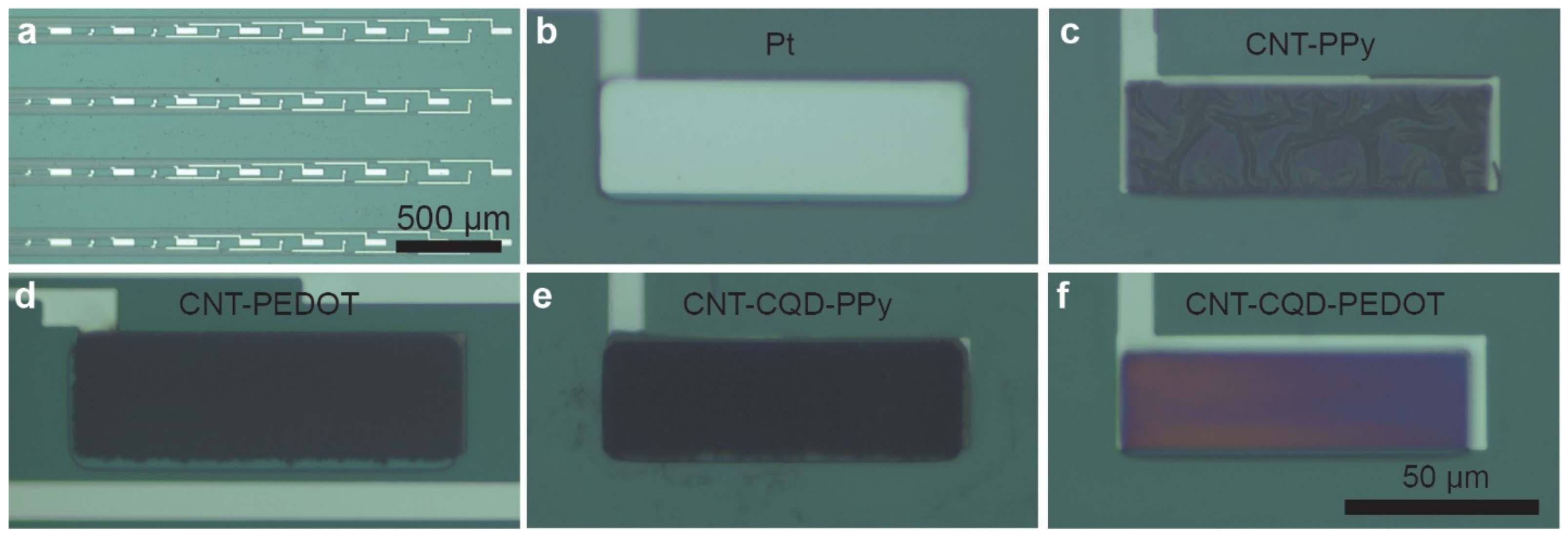 Sensors 24 01893 g002