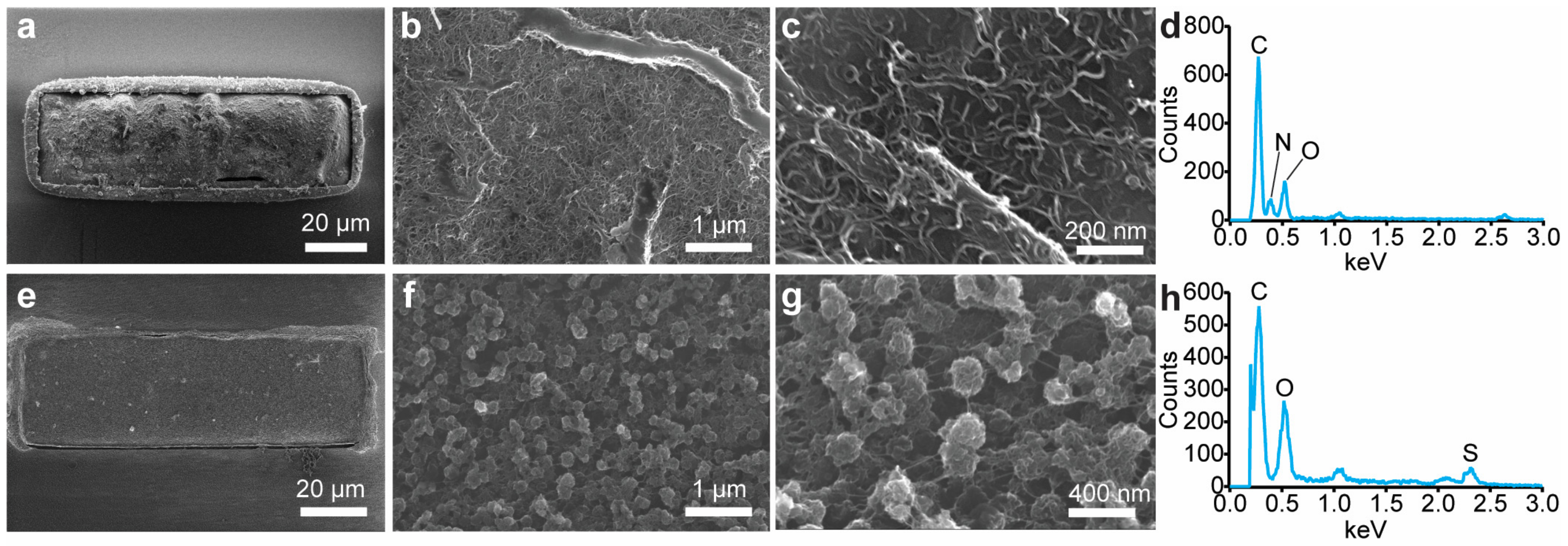 Sensors 24 01893 g003