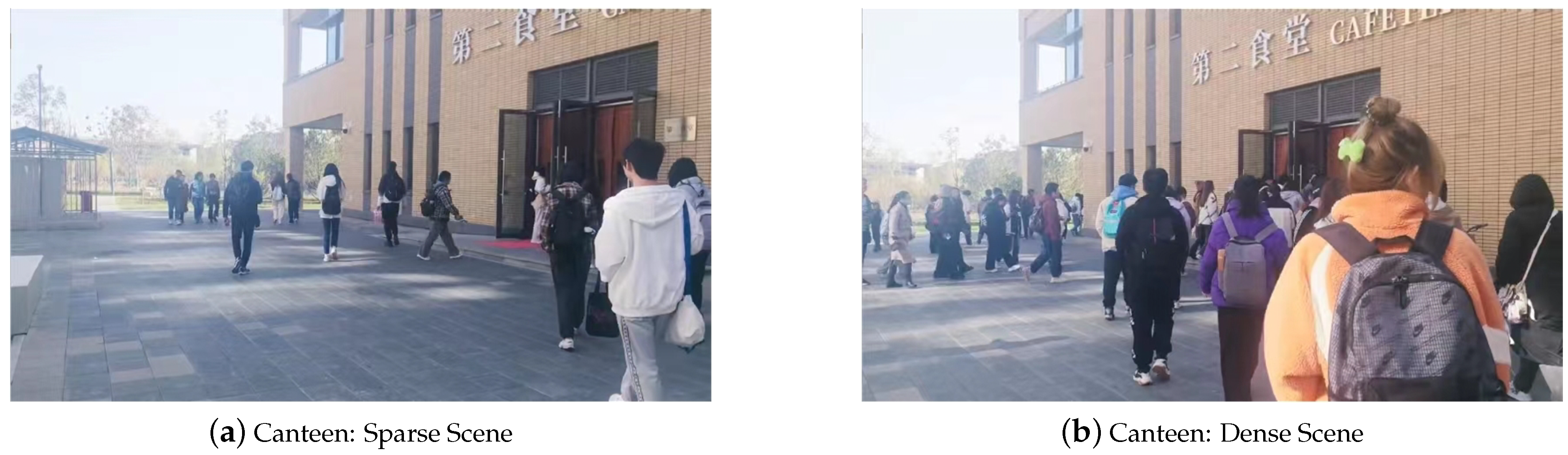 Sensors 24 01899 g015