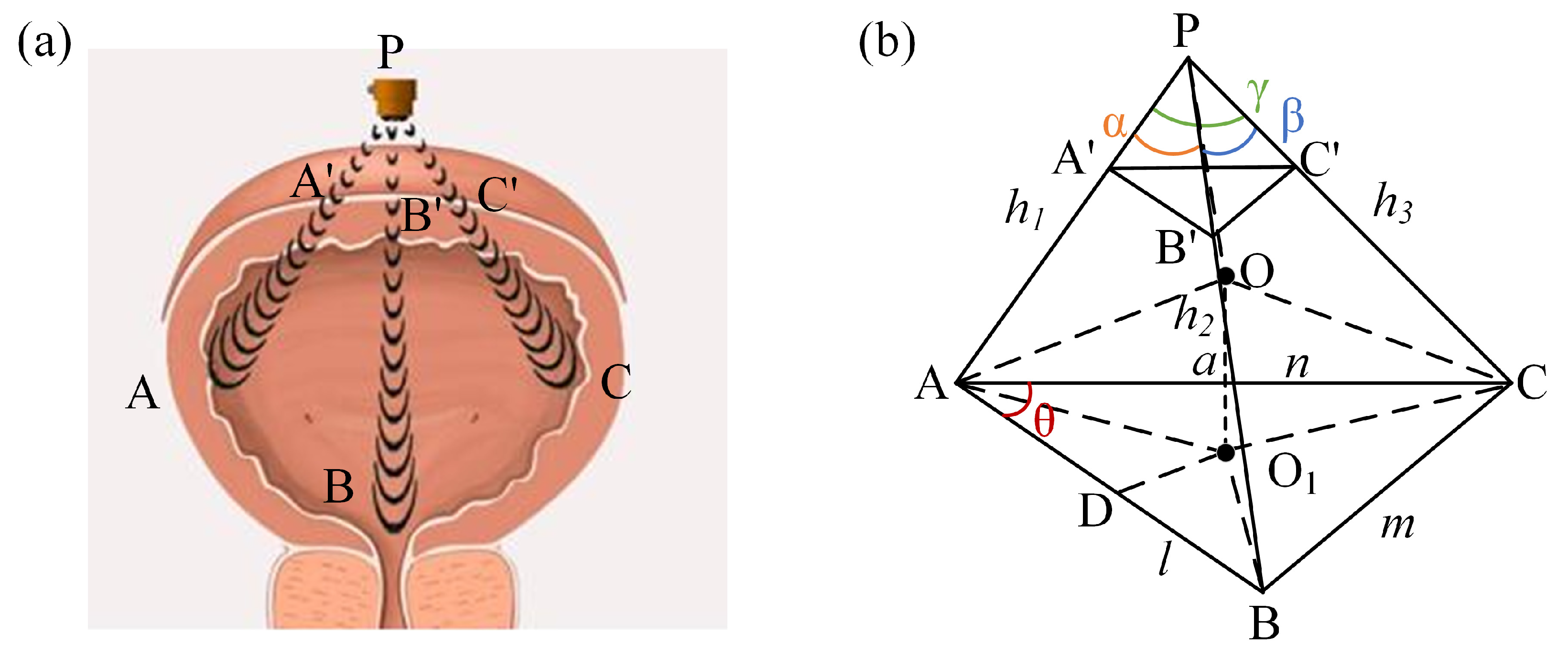 Sensors 24 01932 g001