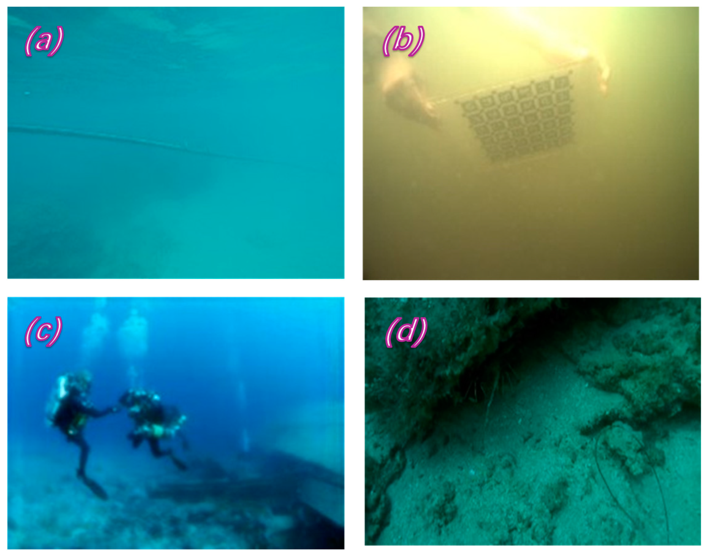 Sensors 24 01937 g003