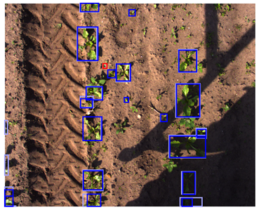 Sensors 24 01942 i005