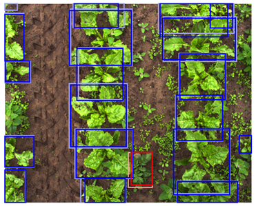 Sensors 24 01942 i006