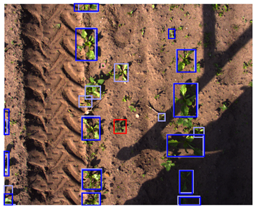 Sensors 24 01942 i008