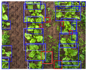 Sensors 24 01942 i009