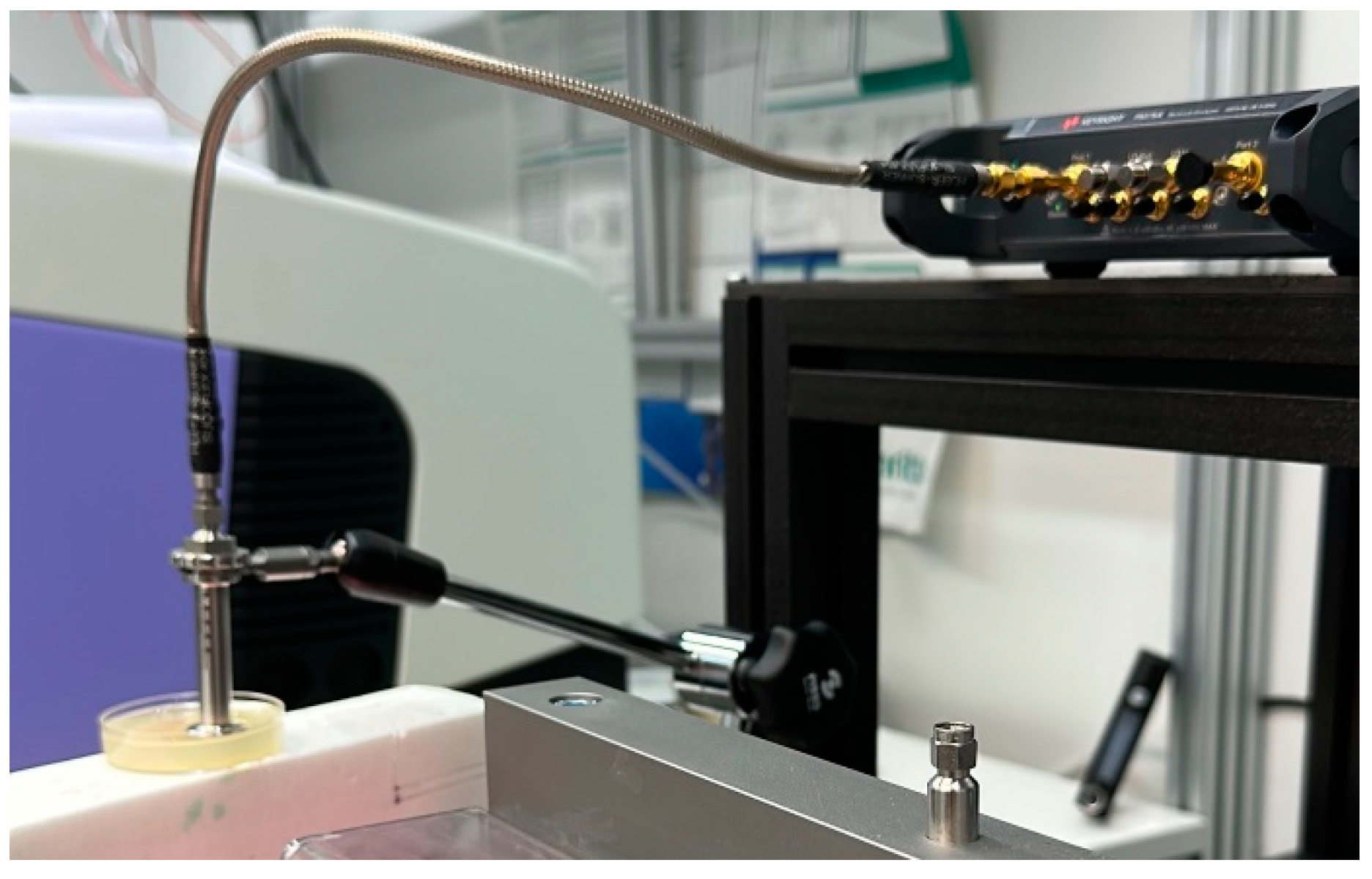 Sensors 24 01975 g002